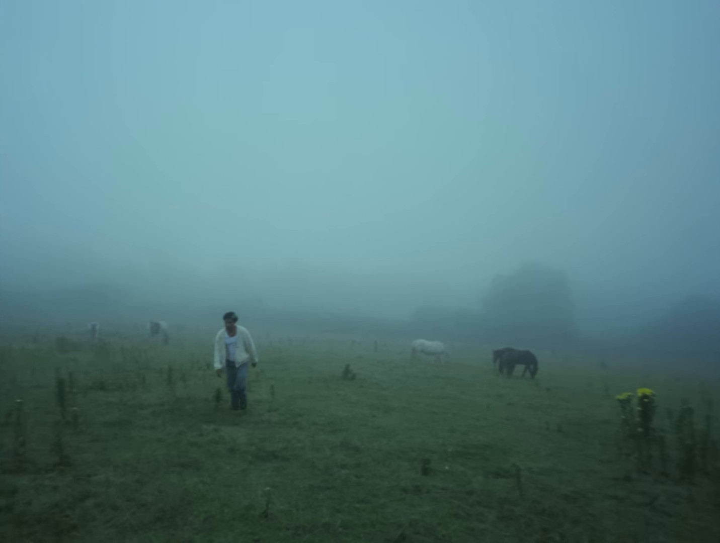 DISCONNECT! (2024) —  shot,  lighting