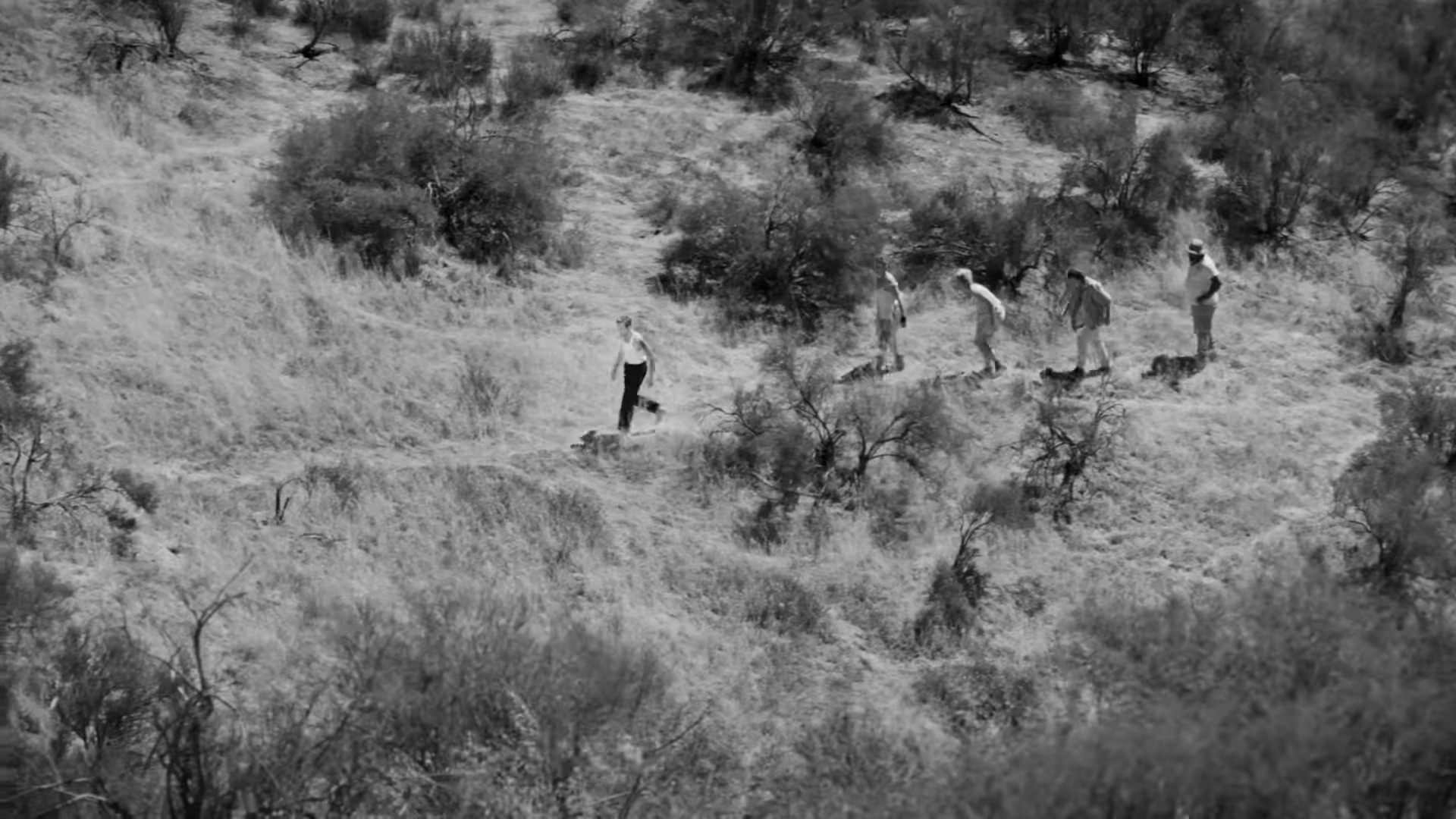 Freaking Me Out (2022) —  shot,  lighting