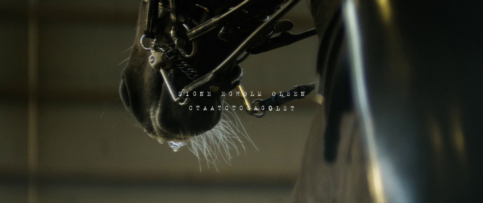 Breeder (2020) —  shot,  lighting