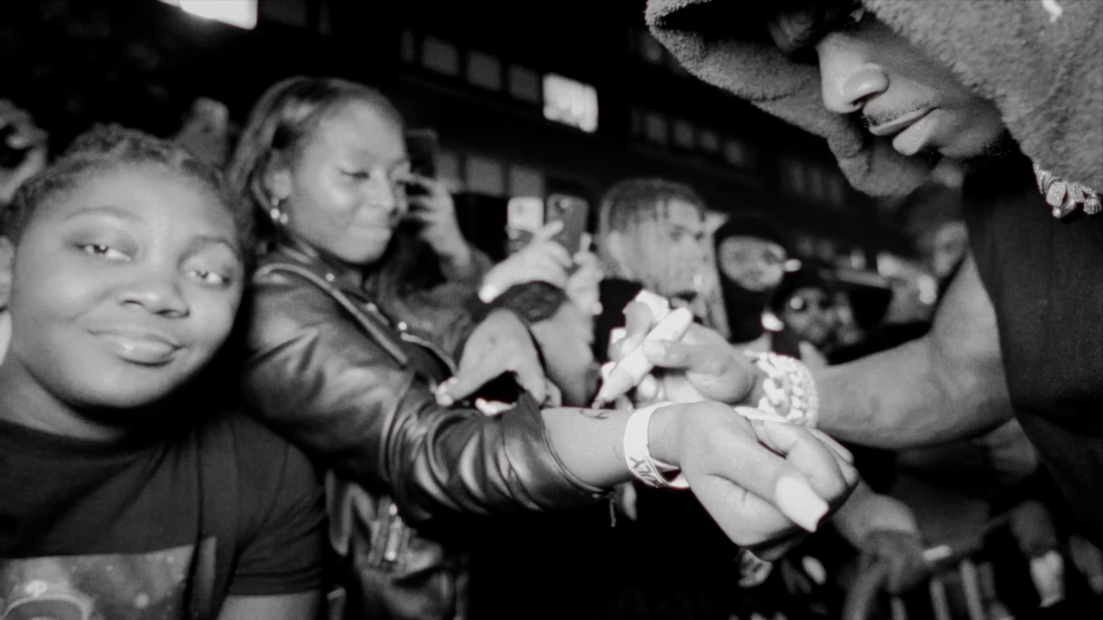 REINTRODUCTION (2024) —  shot,  lighting