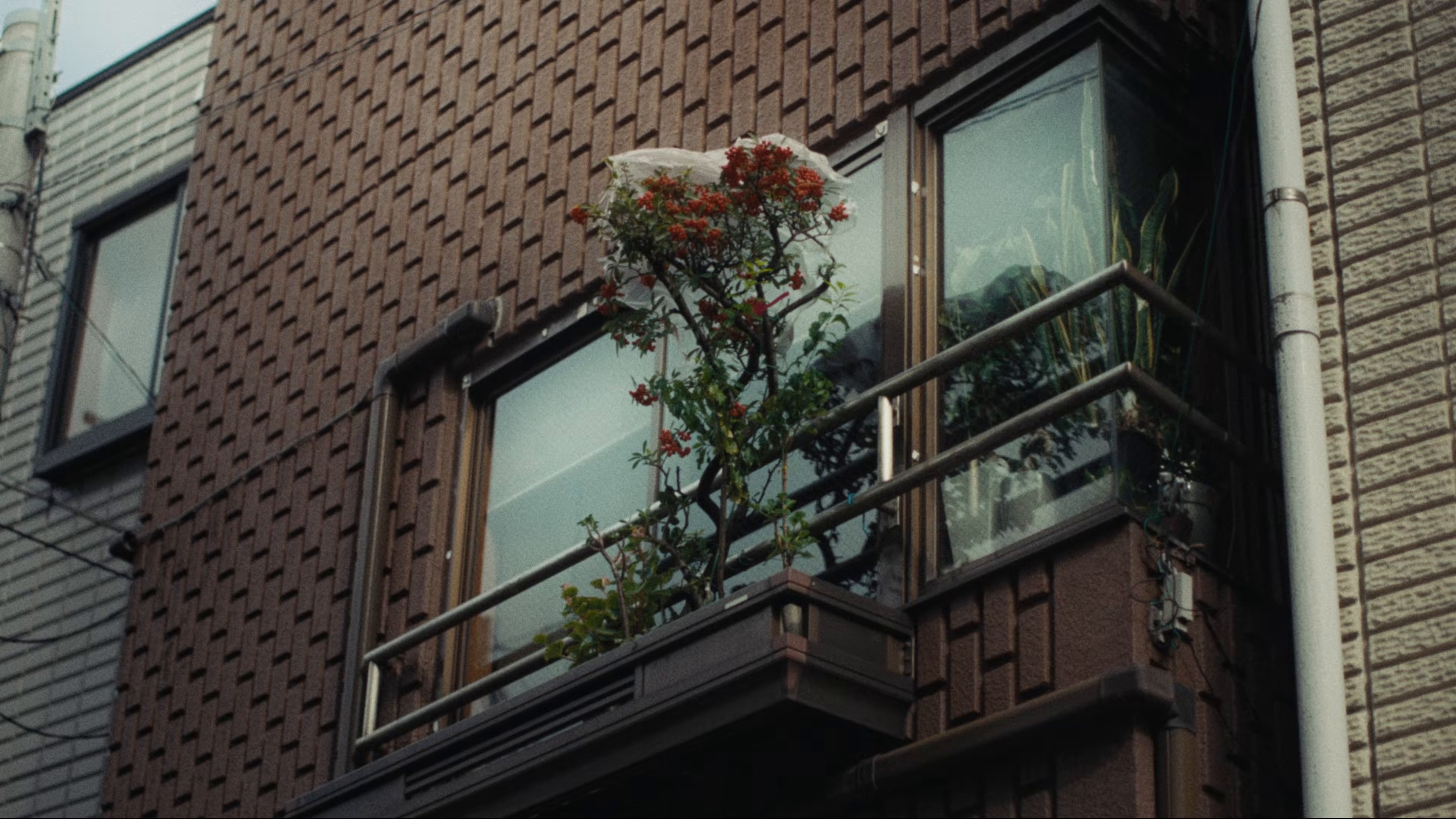 Inaho (2025) —  shot,  lighting