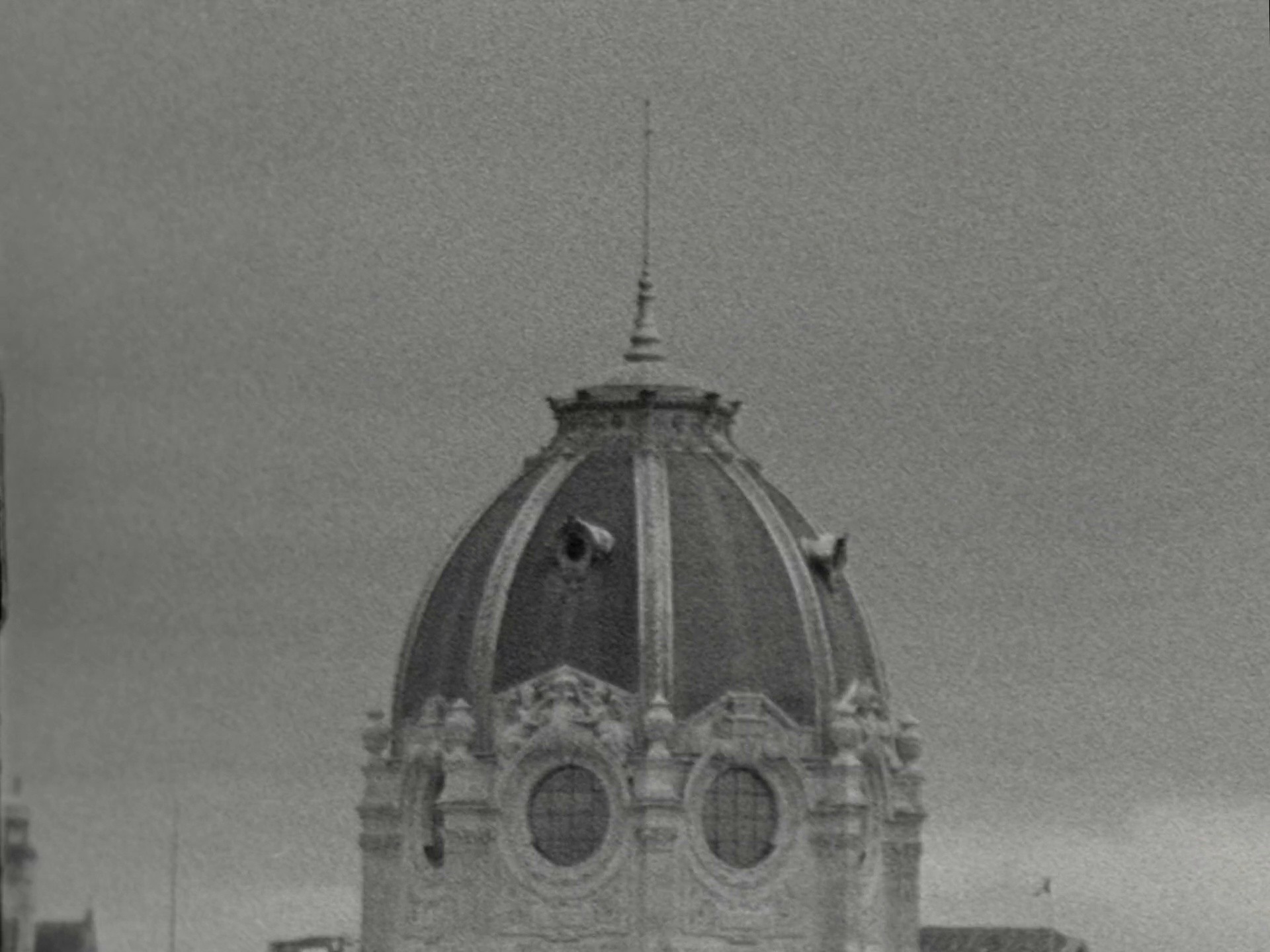 TAGLIATORE FW24 (2024) —  shot,  lighting