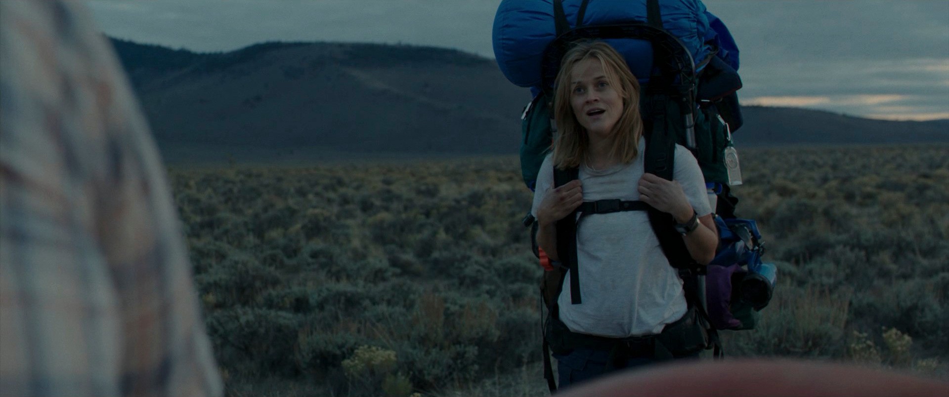 Wild (2014) —  shot,  lighting