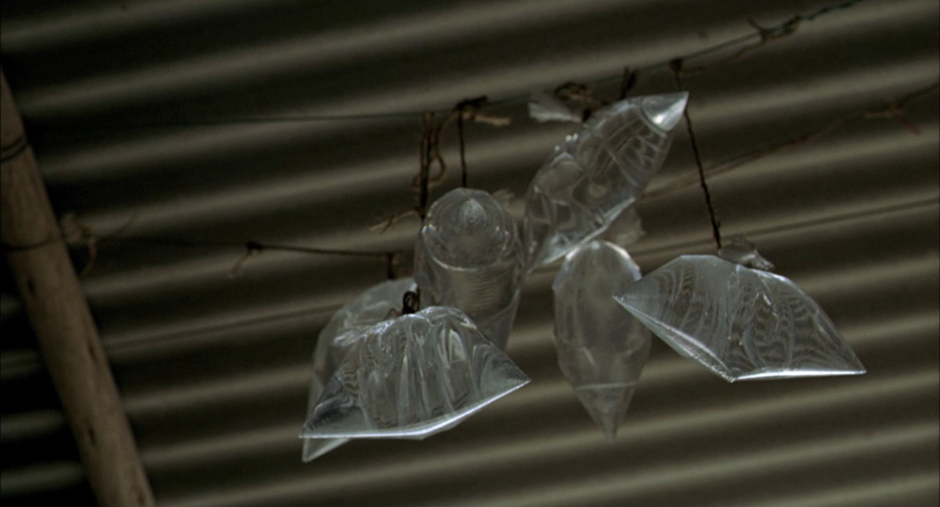 The Milk of Sorrow (2009) —  shot,  lighting