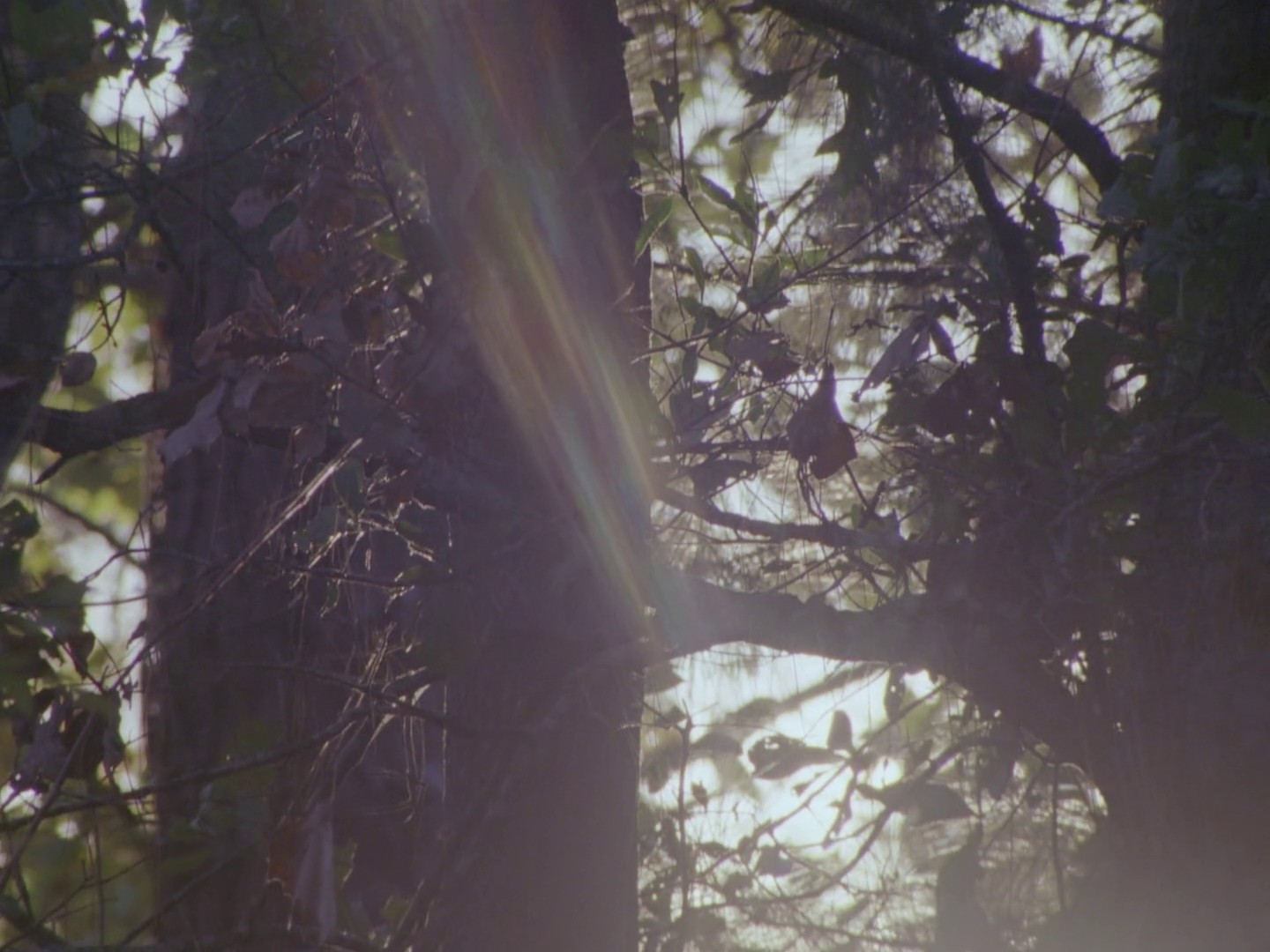 VUORI — FIND YOUR BLISS (2024) —  shot,  lighting