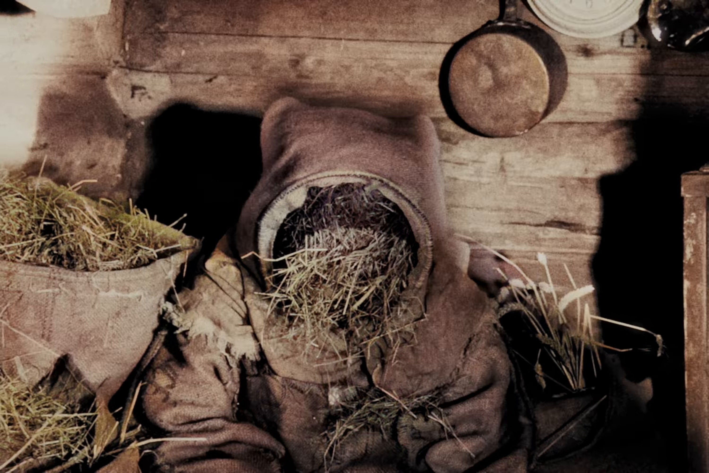 dope (2025) —  shot,  lighting