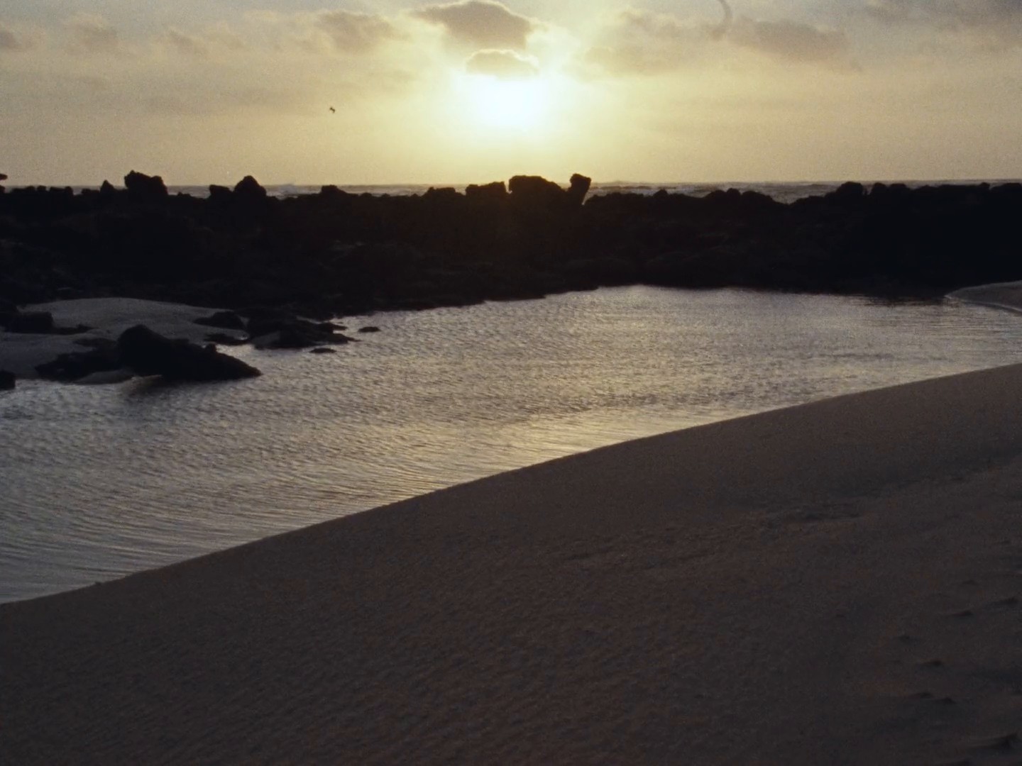 ROWSE 'Does the ocean know the sea exists?' (2024) —  shot,  lighting