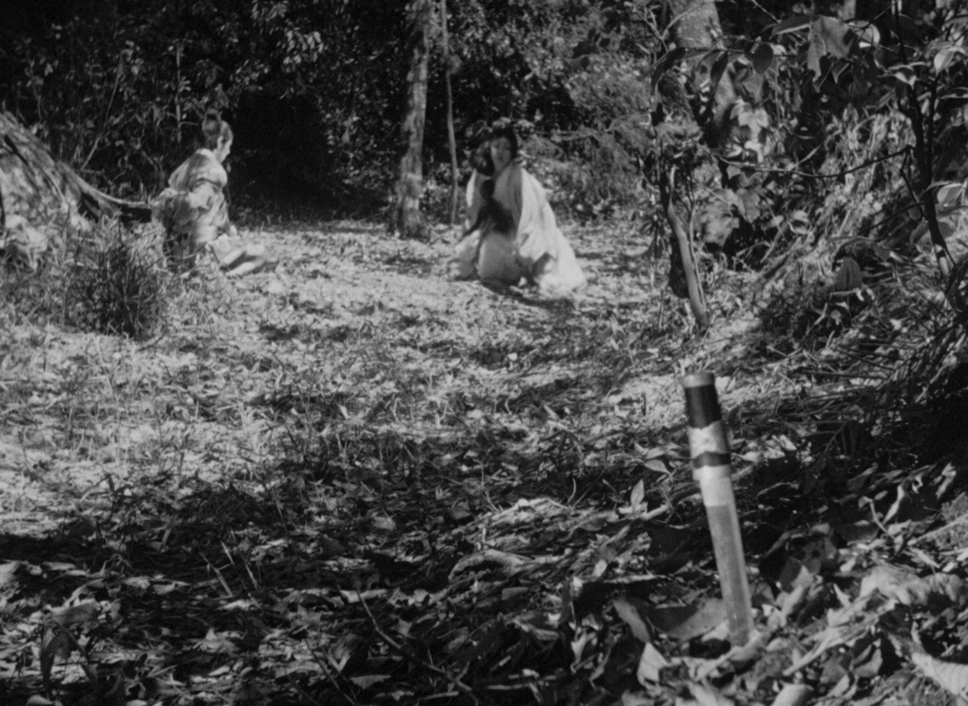 Rashomon (1950) —  shot,  lighting