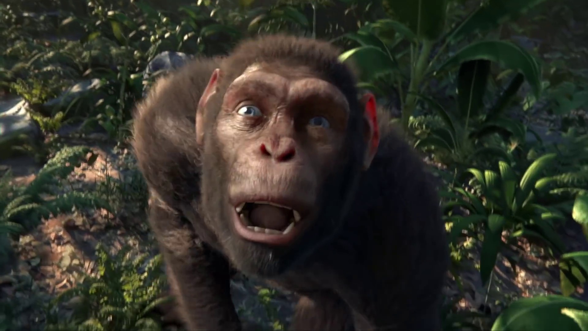 Adventure Of A Lifetime (2015) —  shot,  lighting