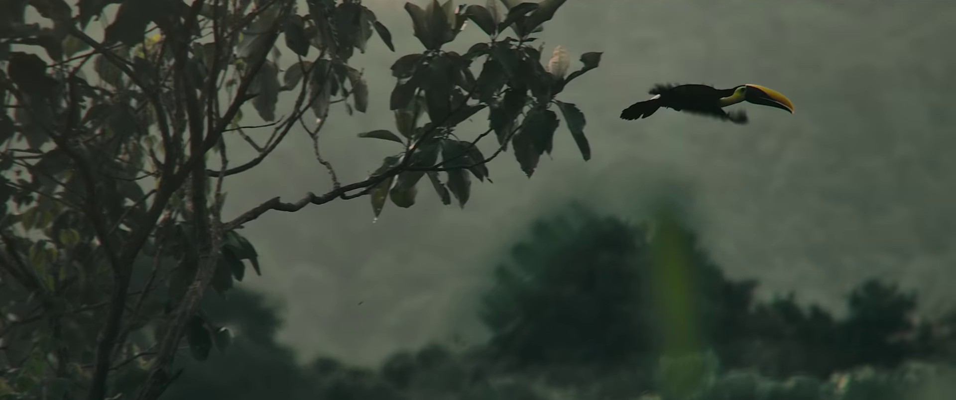 This is not the end  (2022) —  shot,  lighting