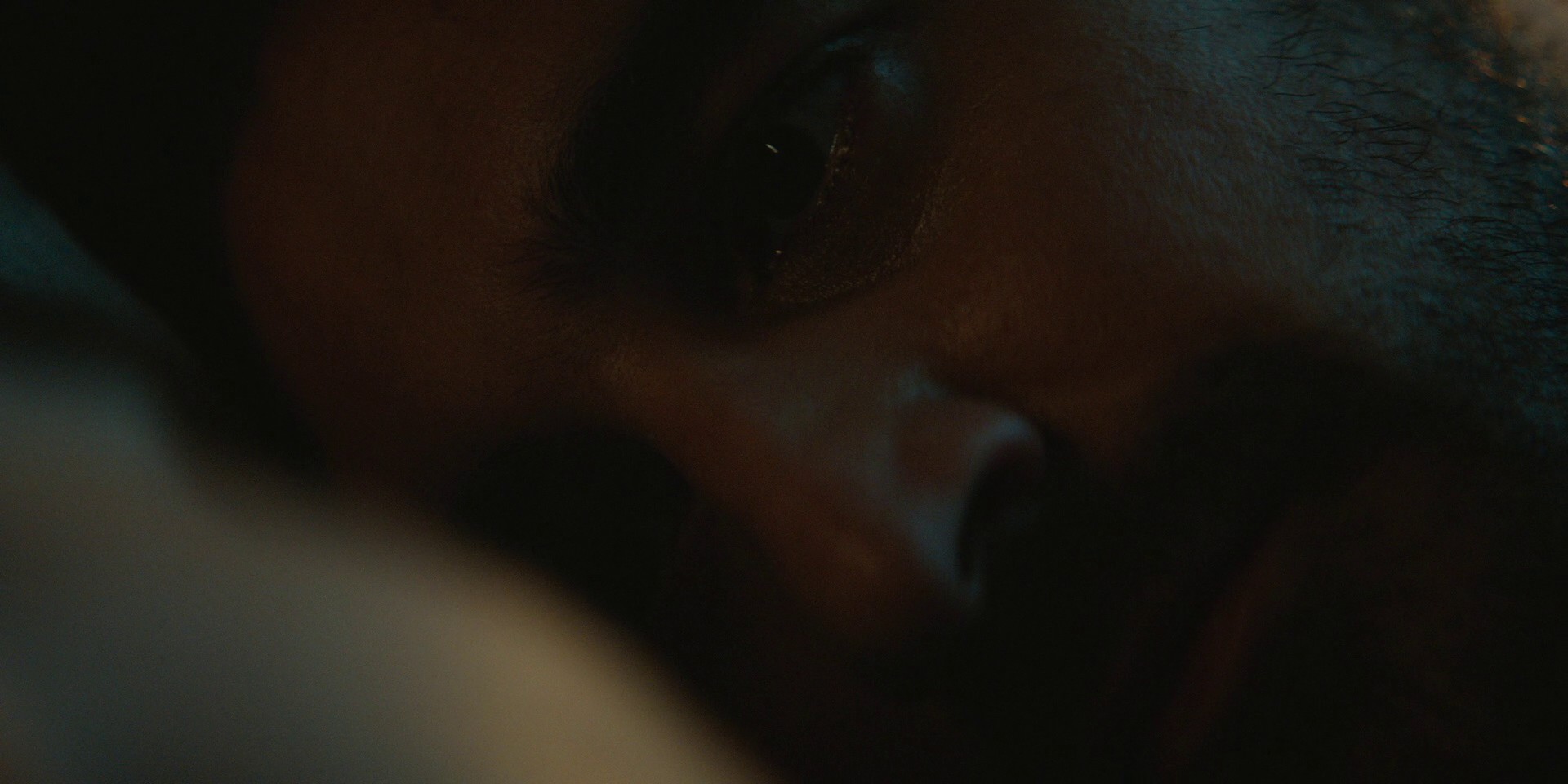 The Relic (2023) —  shot,  lighting