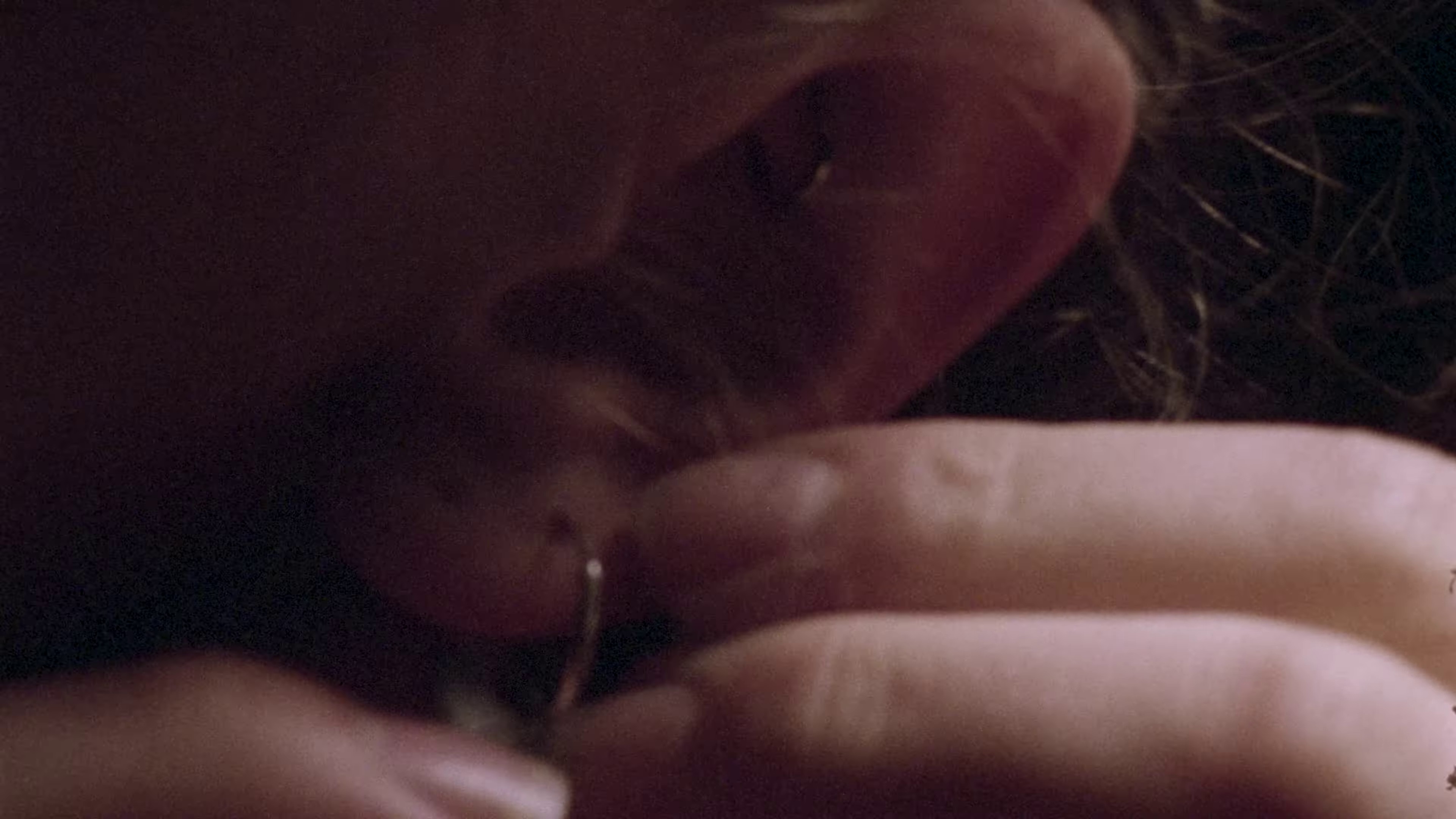 Charlie (2024) —  shot,  lighting