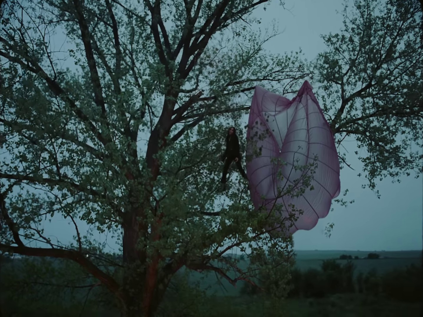 Black Dress (2023) —  shot,  lighting