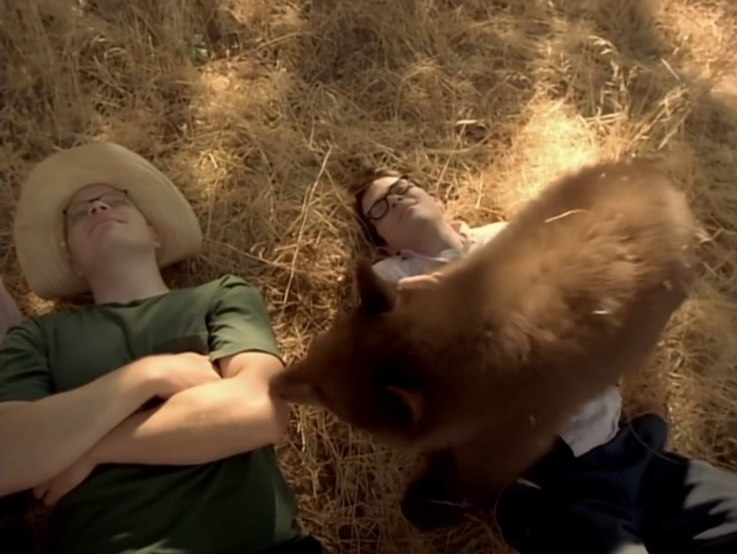 Island In The Sun (2009) —  shot,  lighting