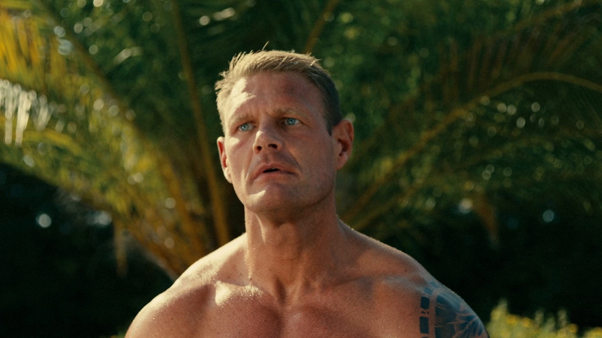 TRENDHIM - ANYTHING GOES WITH CONFIDENCE (2025) —  shot,  lighting