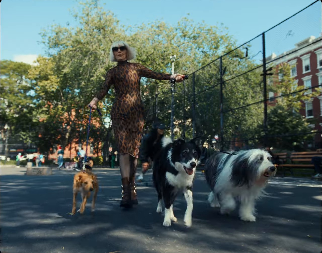 Steve Madden 2024 Fall Campaign (2024) —  shot,  lighting