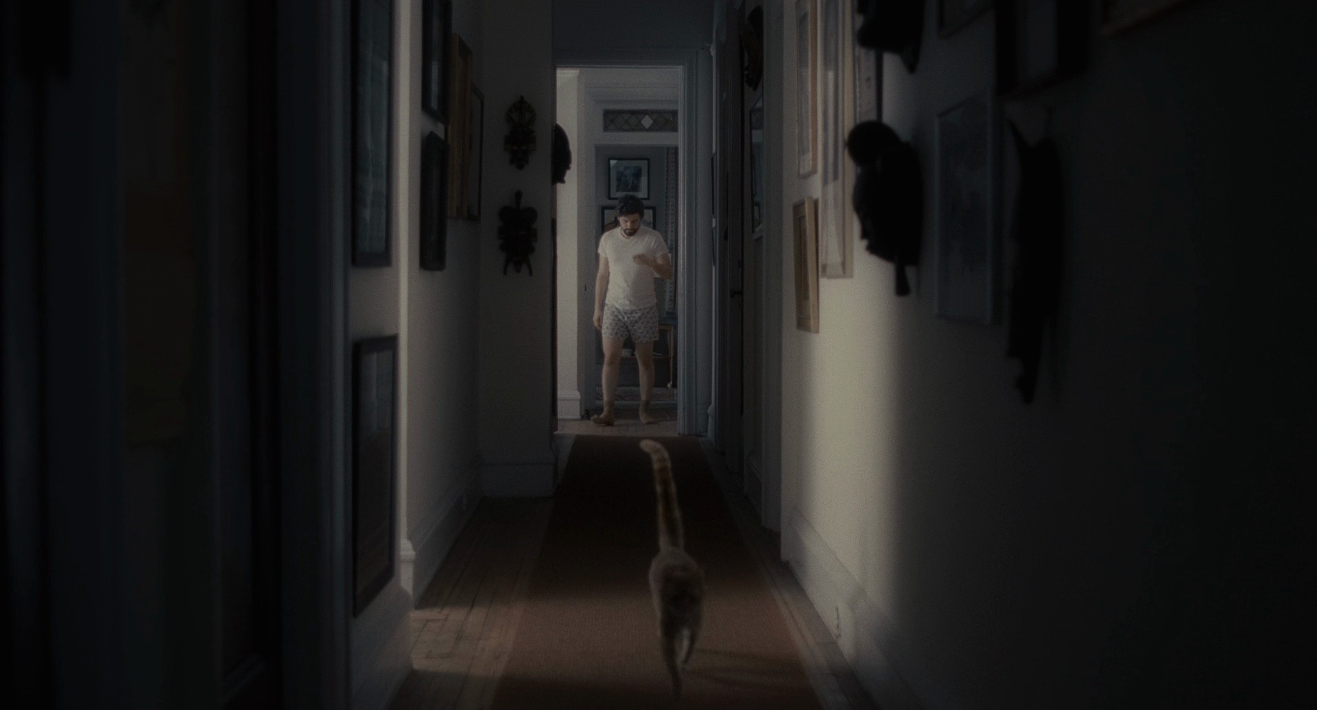 Inside Llewyn Davis (2013) —  shot,  lighting