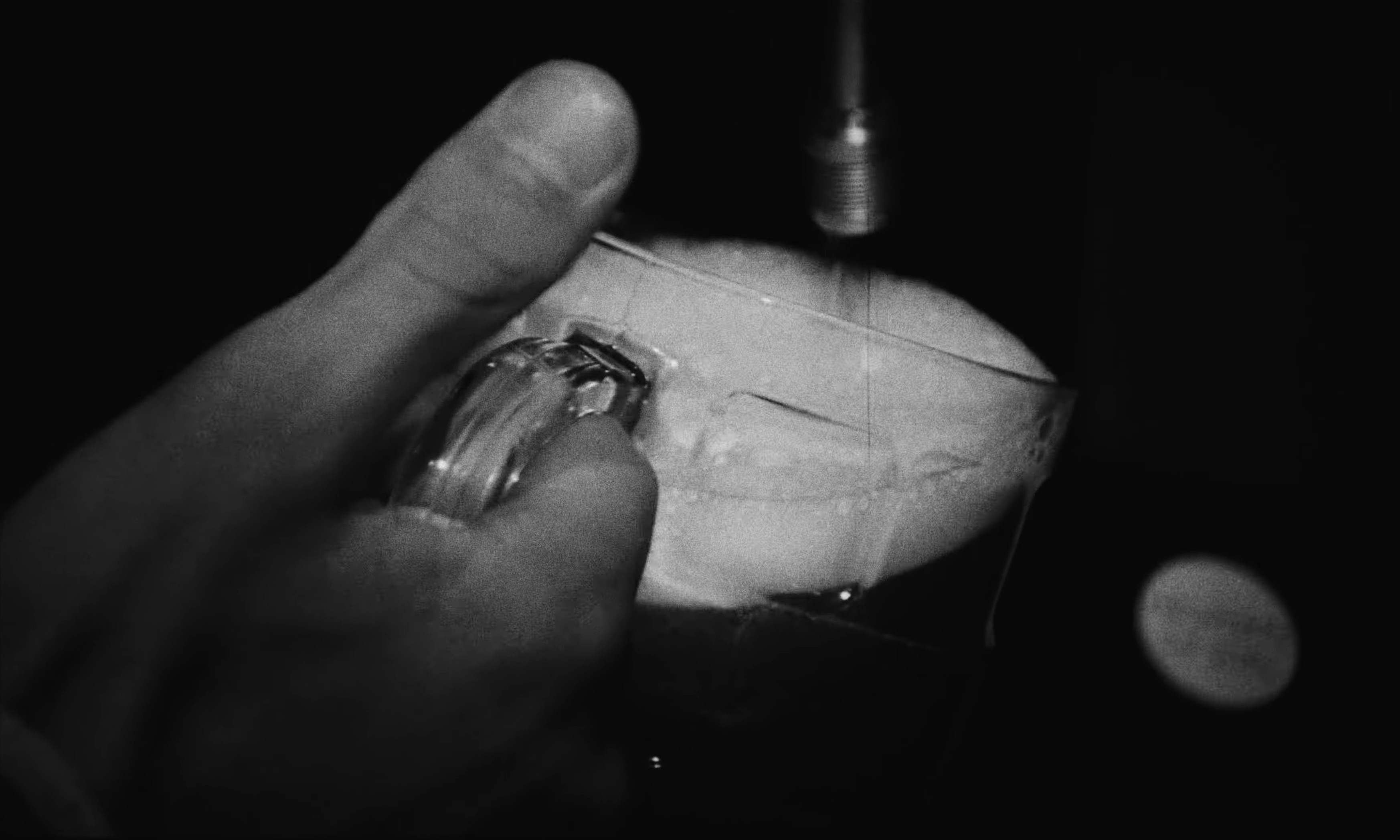 Solstice (2025) —  shot,  lighting