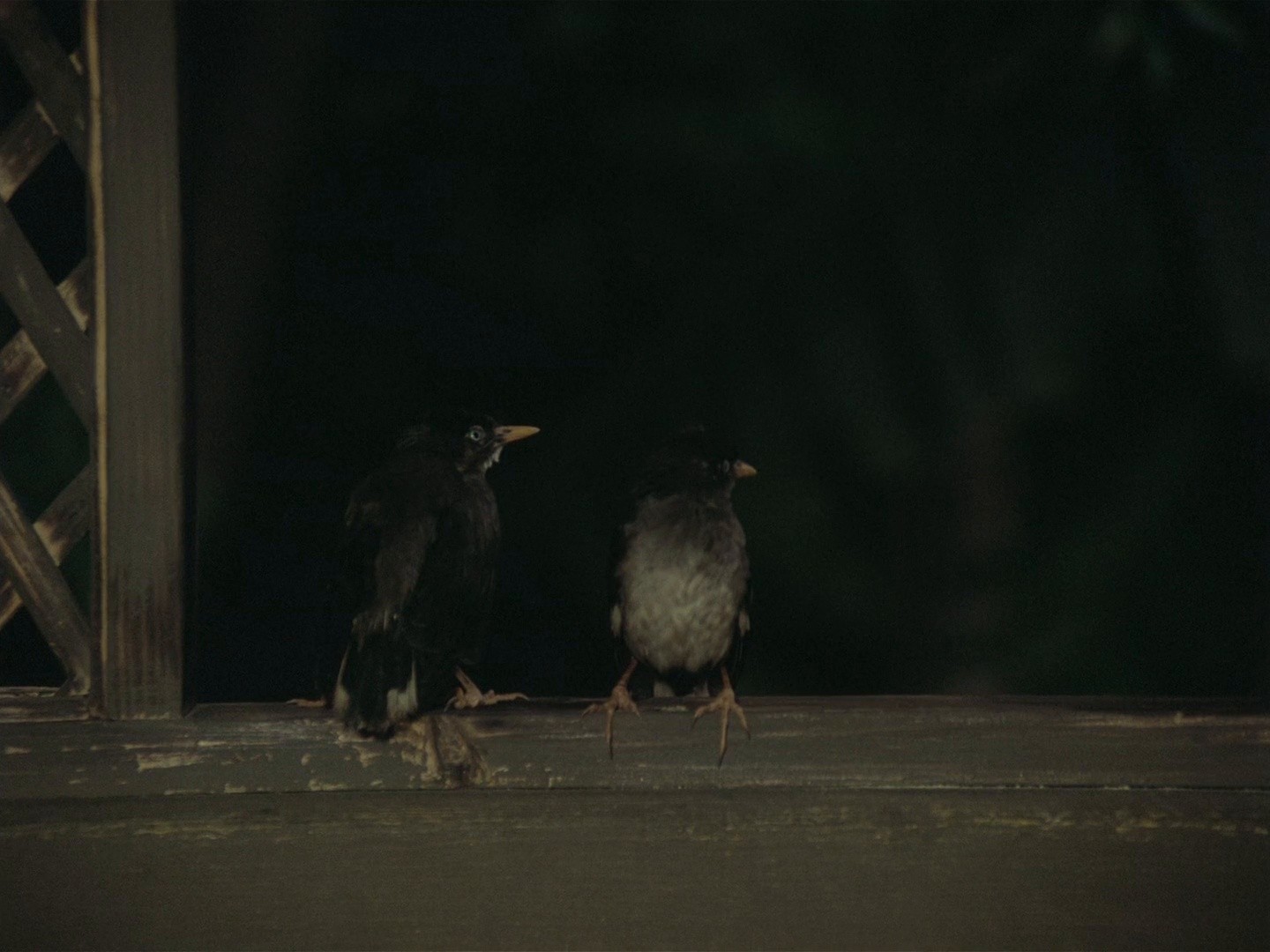 Char Adhyay (1997) —  shot,  lighting