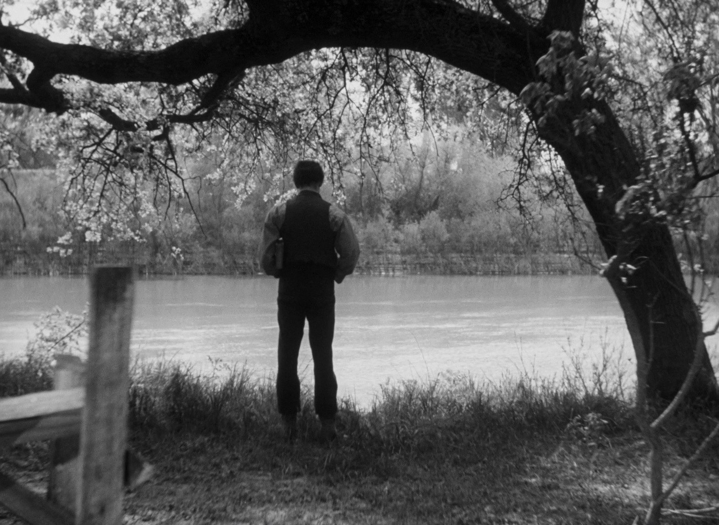 Young Mr. Lincoln (1939) —  shot,  lighting