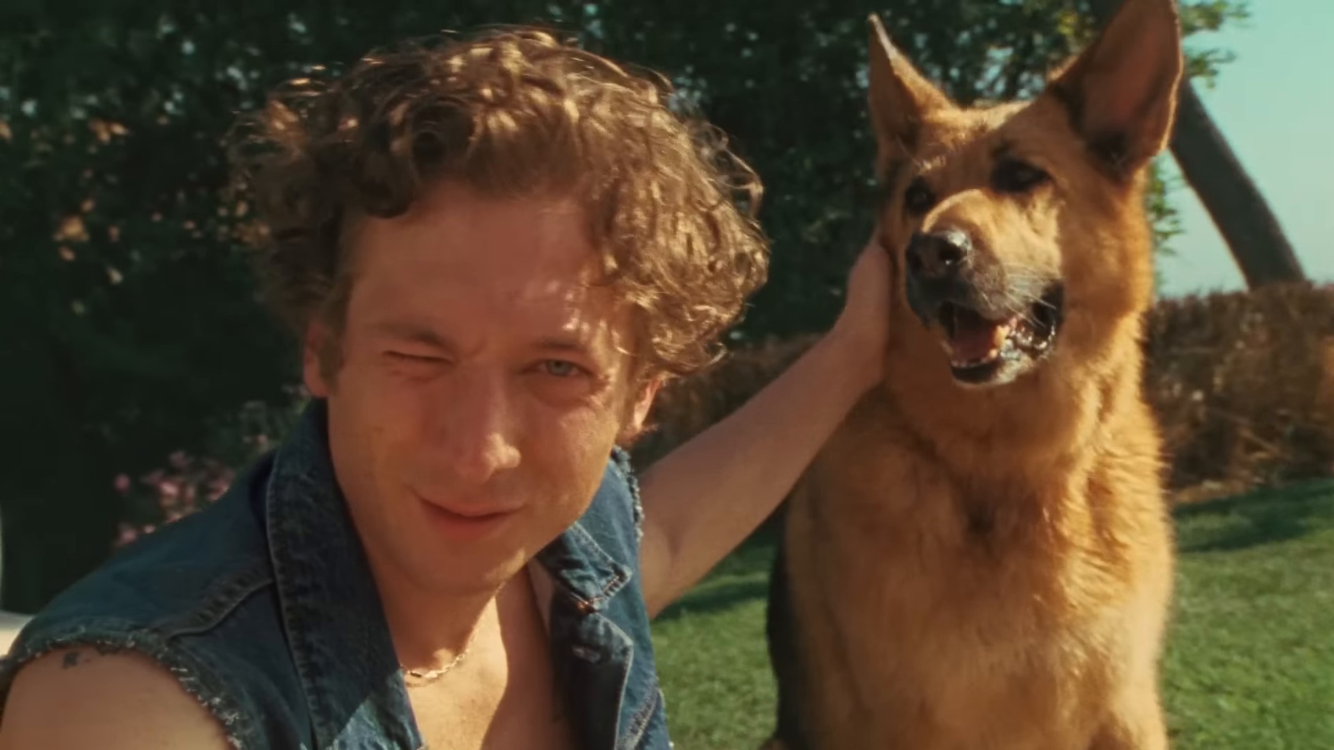 Jeremy Allen White in Calvin Klein | Fall 2024 Campaign (2024) —  shot,  lighting