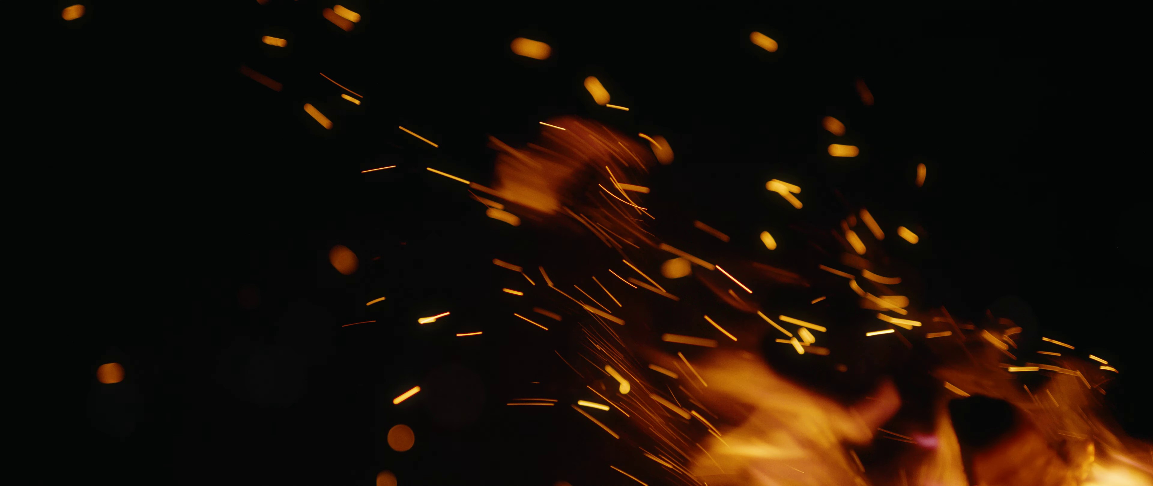 Lonely (2023) —  shot,  lighting