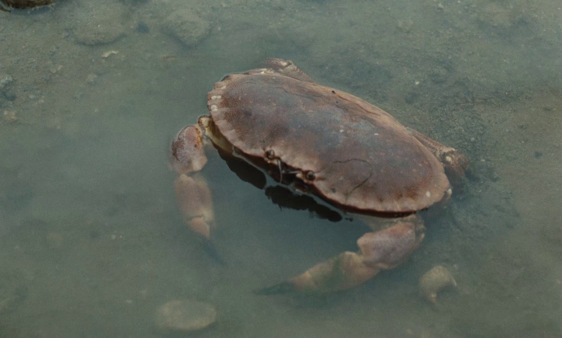 My American Uncle (1981) —  shot,  lighting