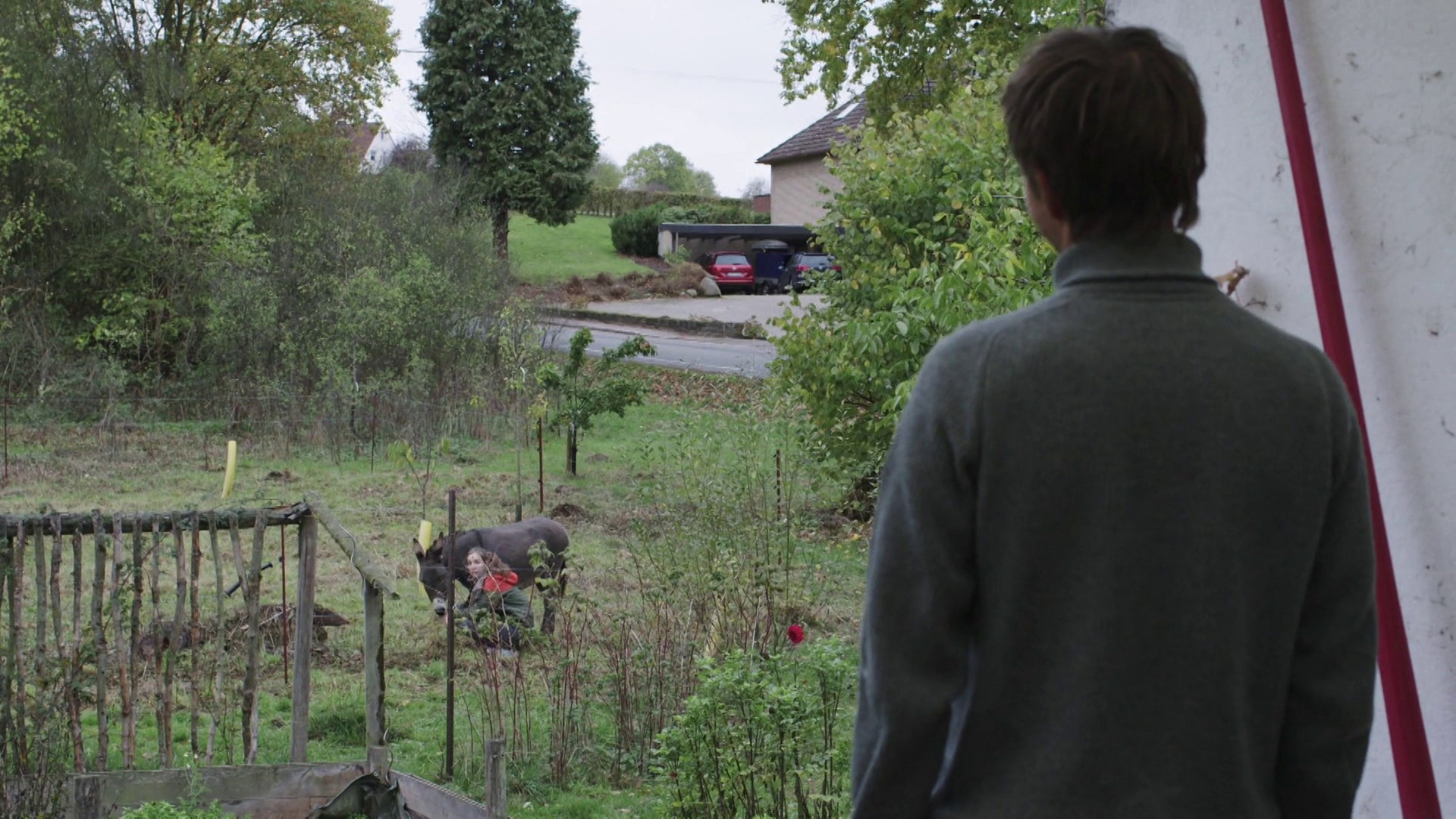 A Voluntary Year (2019) —  shot,  lighting