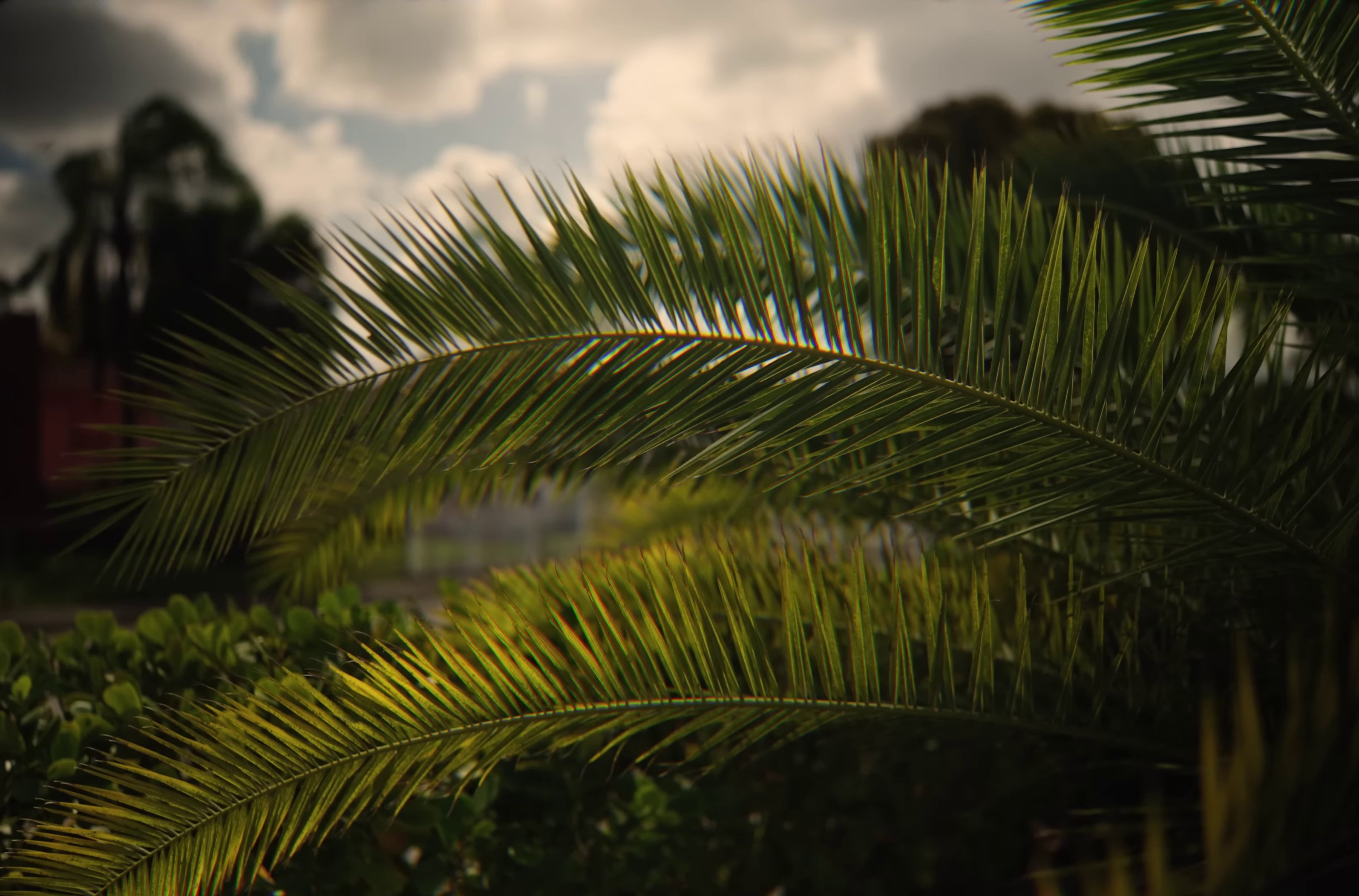 Poulailler  (2023) —  shot,  lighting