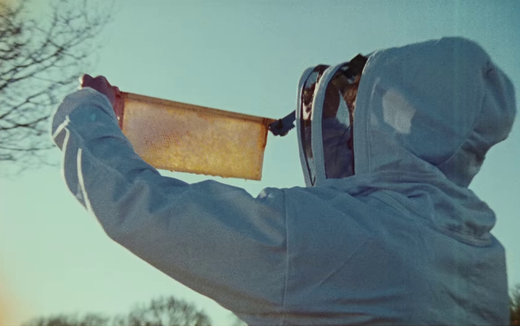 Beeswax (2022) —  shot,  lighting