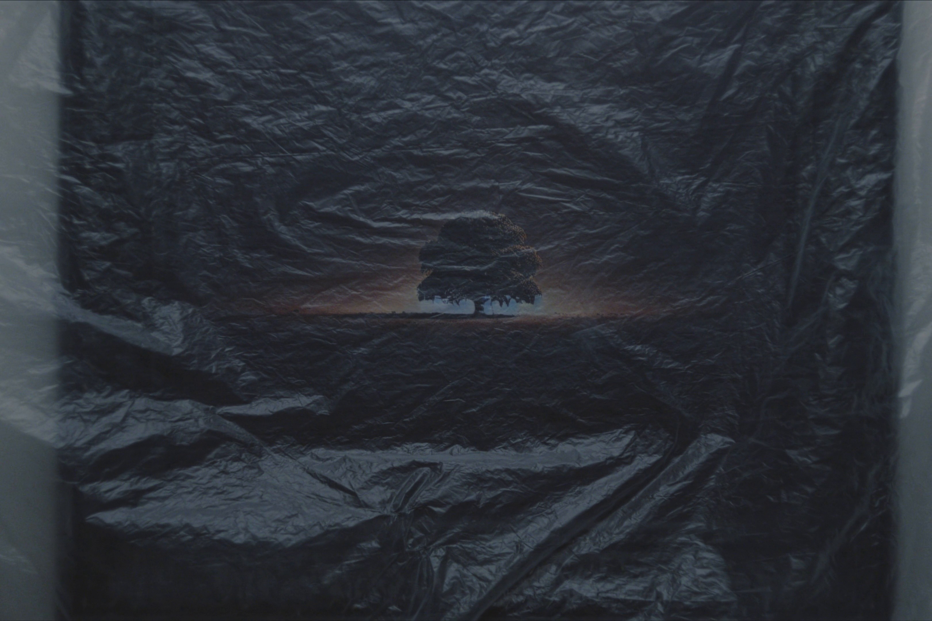 Divine Thing (2025) —  shot,  lighting