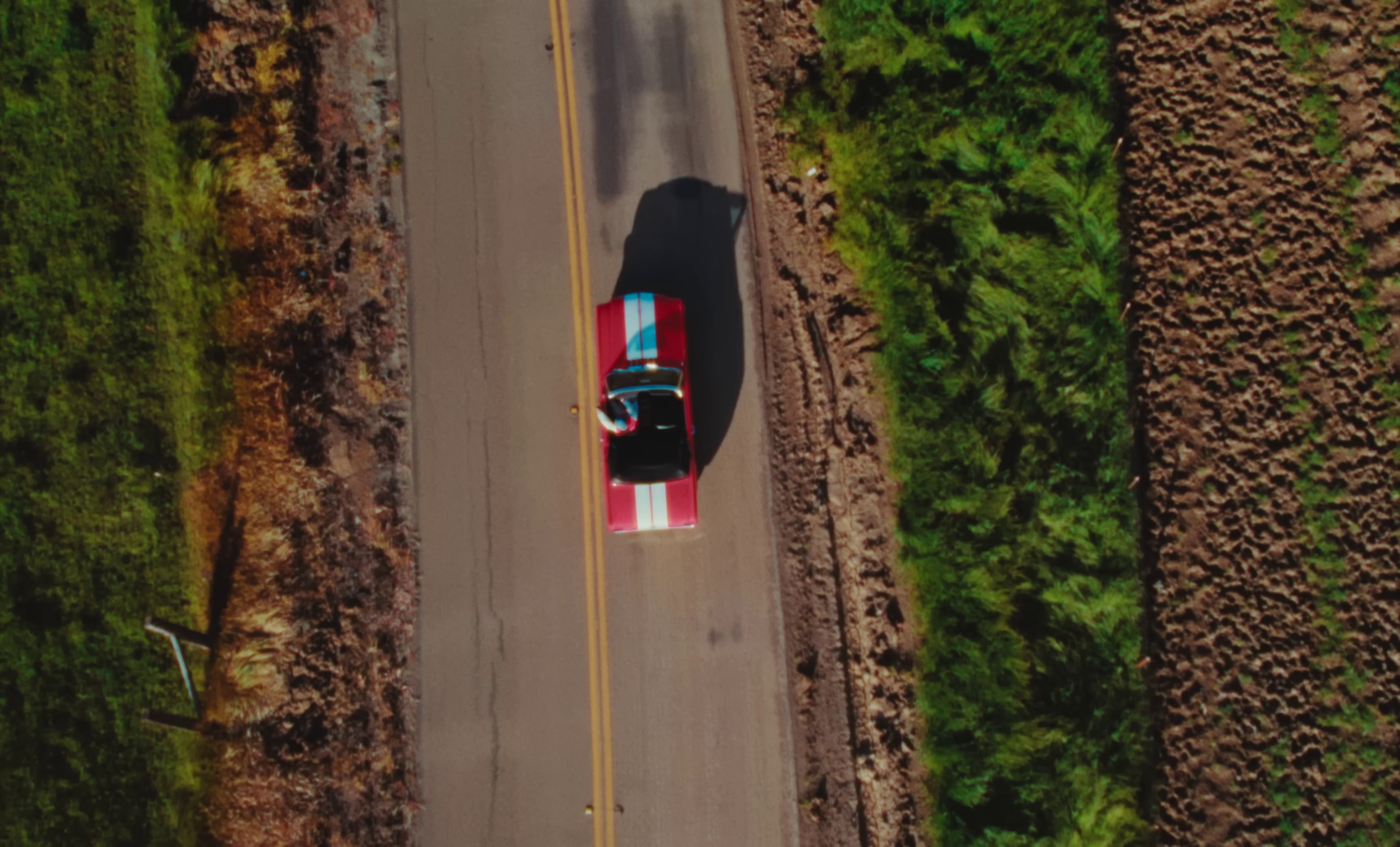 Tell Me Im Right (2023) —  shot,  lighting