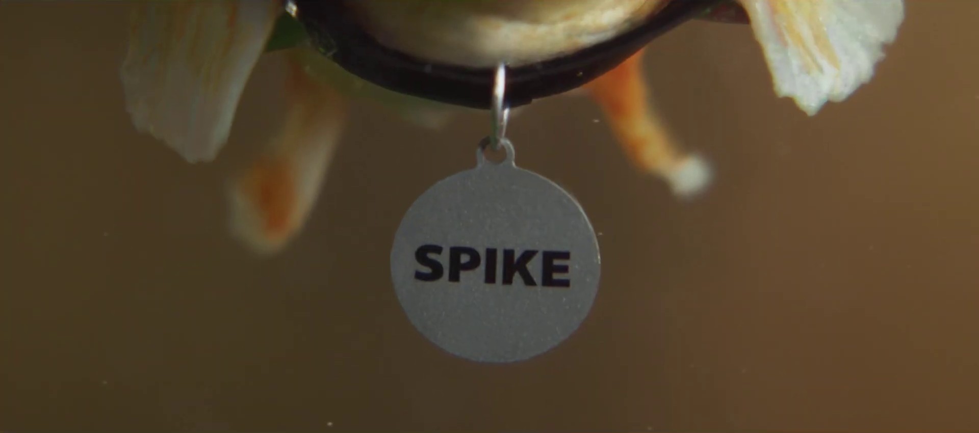 Maybe it’s time to switch | Fish Whisperer 30" (2024) —  shot,  lighting