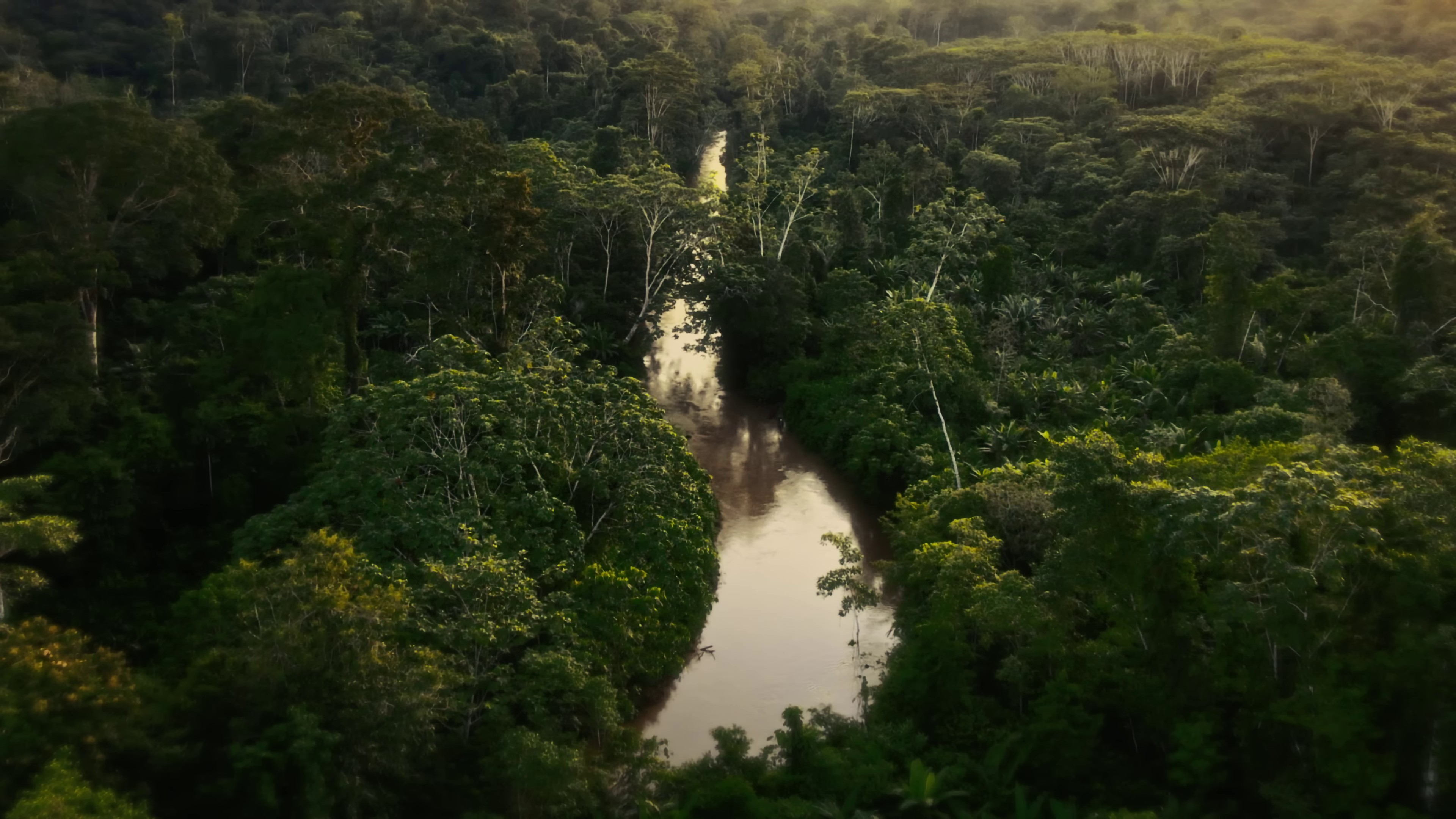 Brace It (2023) —  shot,  lighting