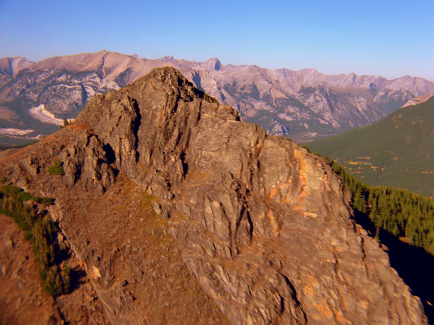 Learning to Fly (1987) —  shot,  lighting