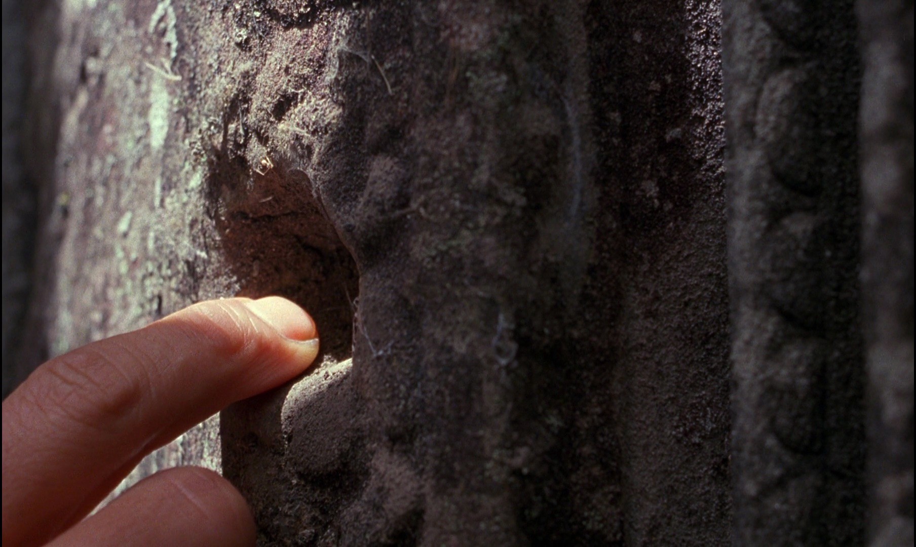 In the Mood for Love (2000) —  shot,  lighting