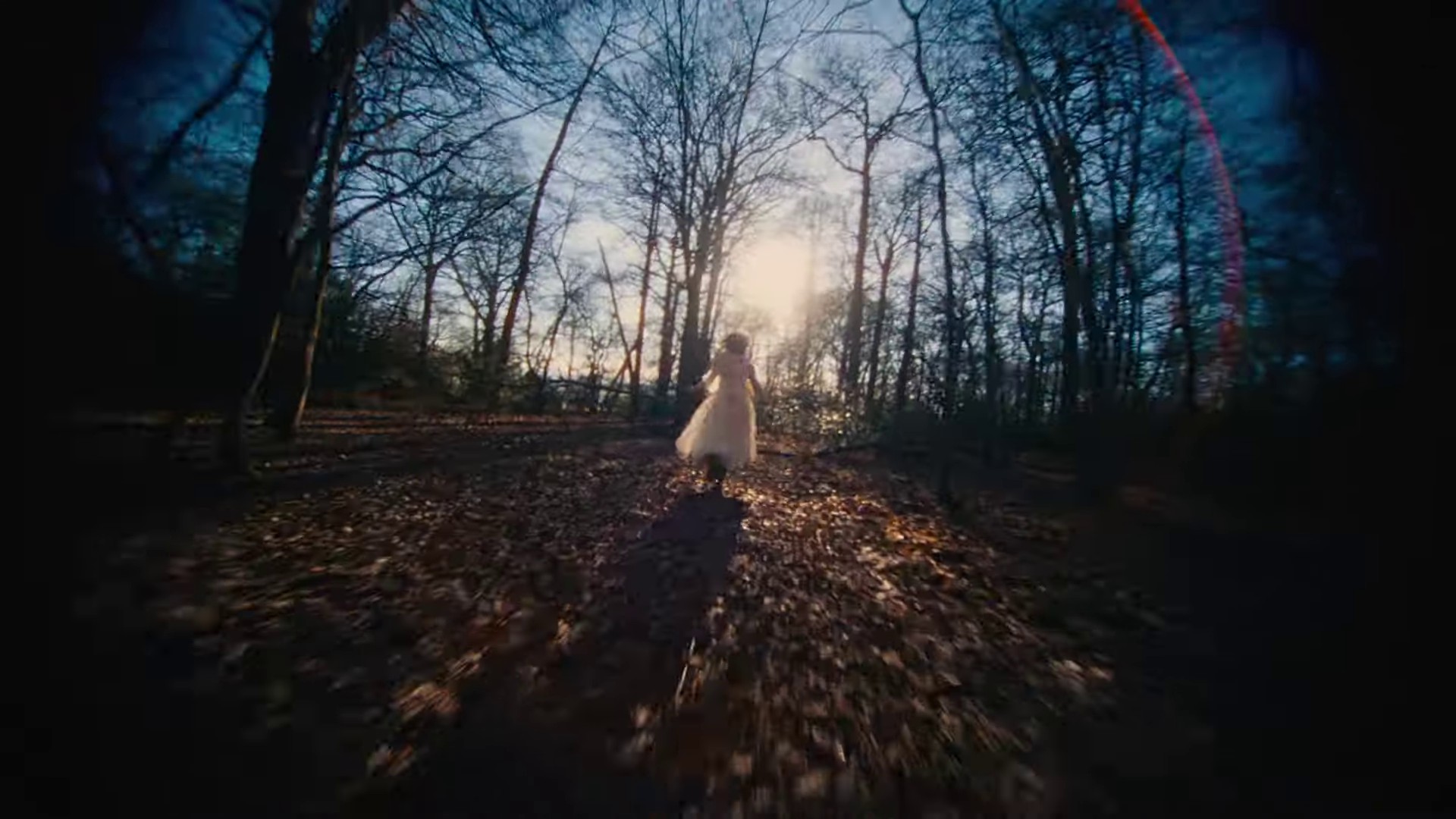 The Dream of Delphi (2024) —  shot,  lighting