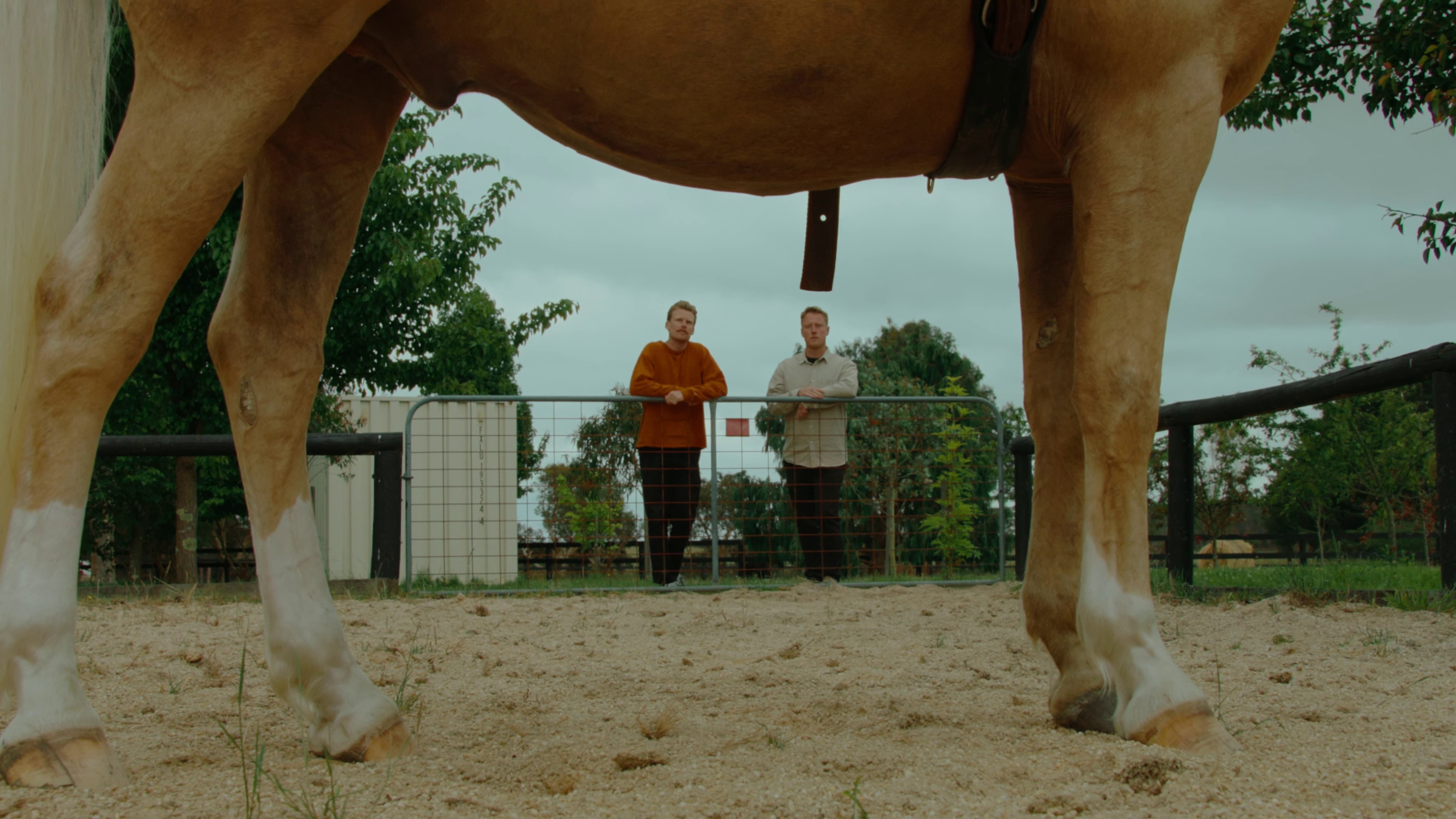 Milk & Honey (2023) —  shot,  lighting