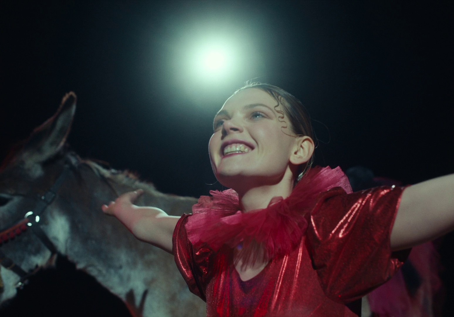 EO (2022) —  shot,  lighting