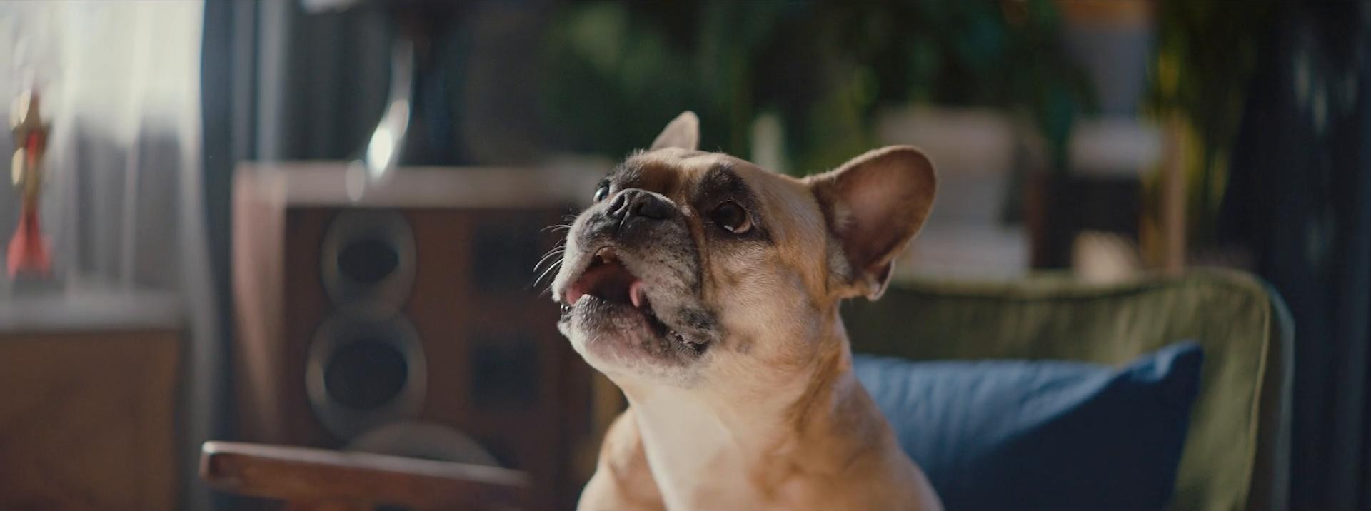 Visa-Gazprombank Smartcard (2020) —  shot,  lighting