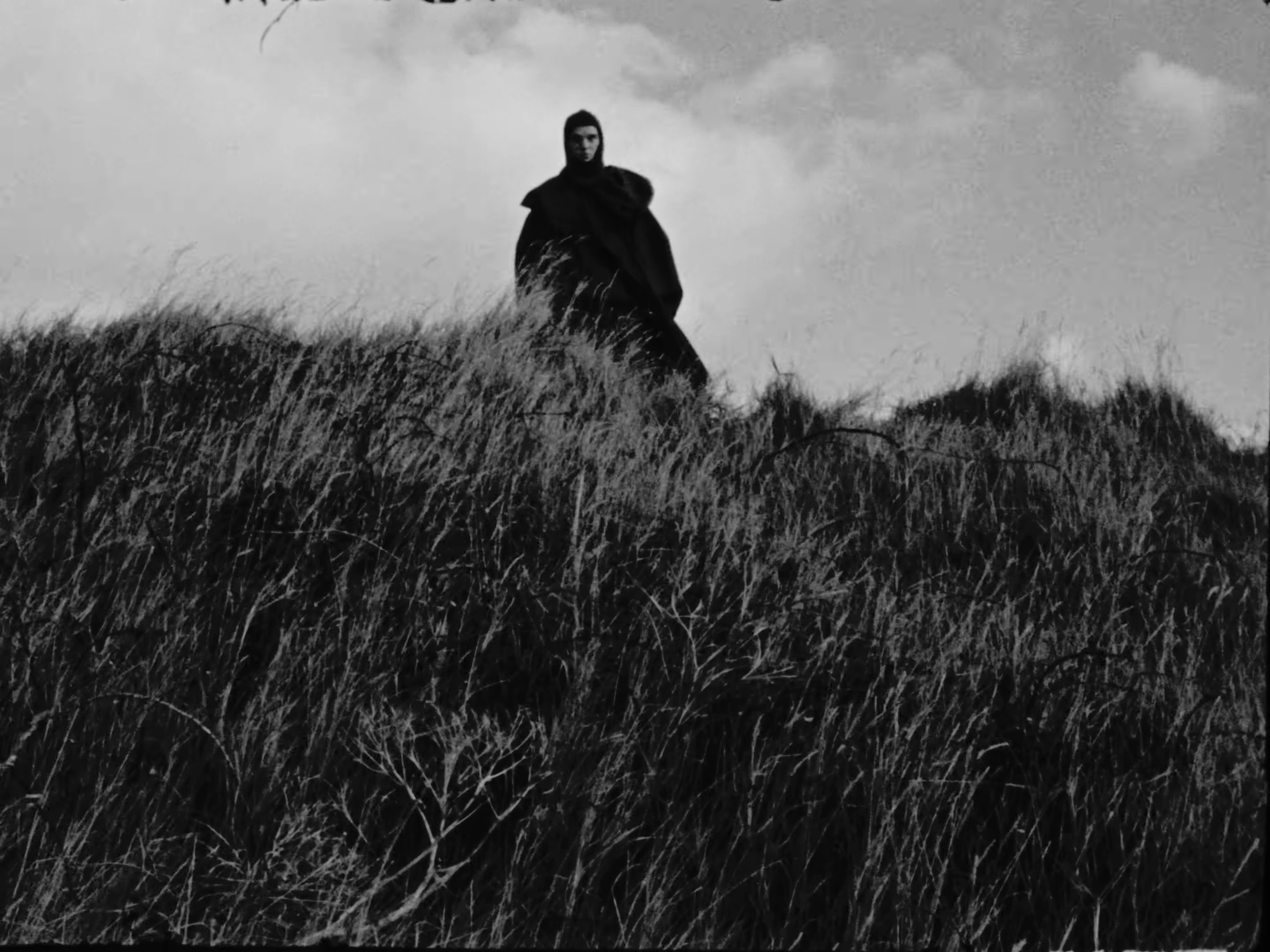 Barbed Wire (2025) —  shot,  lighting