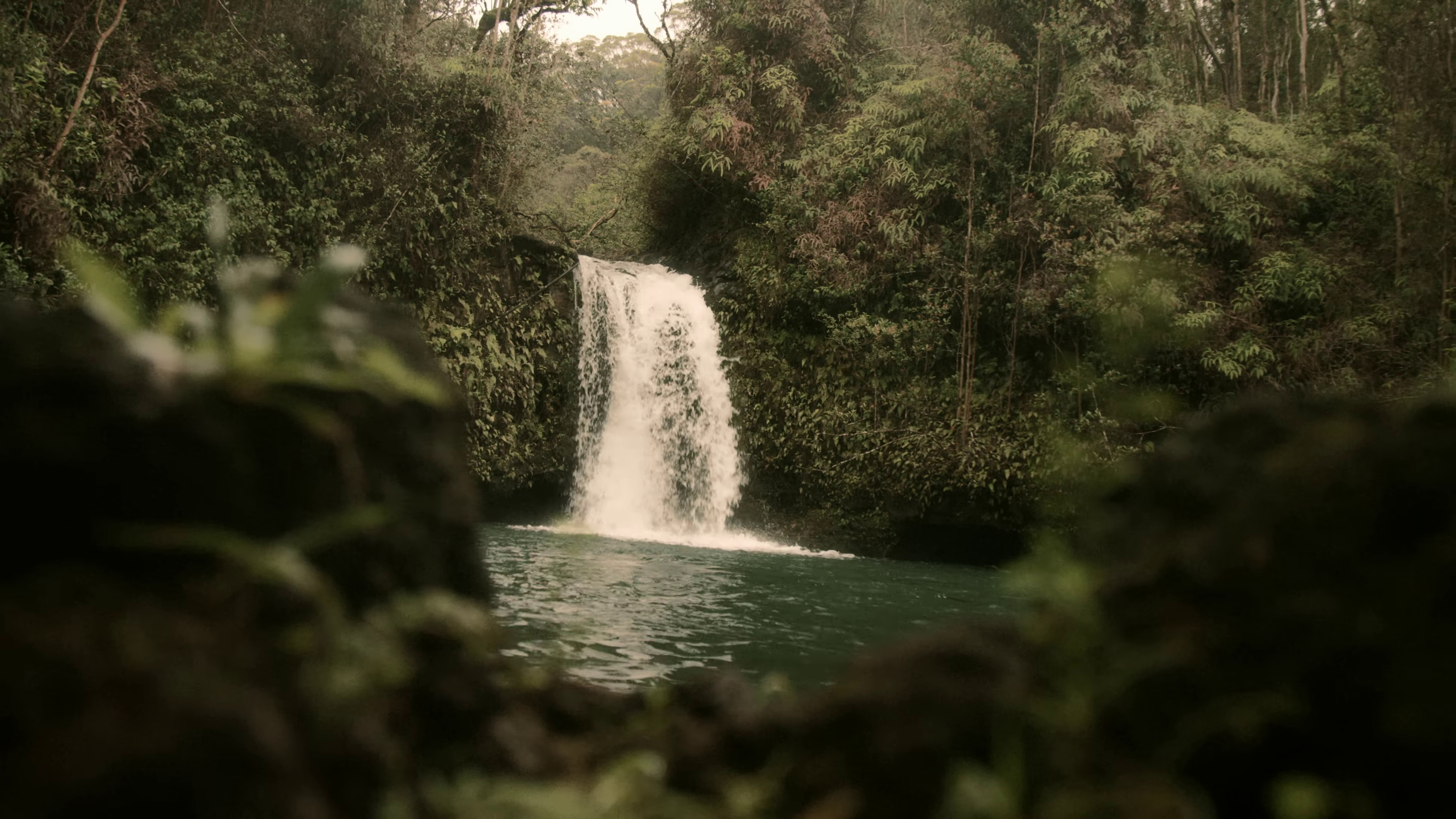 Brace It (2023) —  shot,  lighting