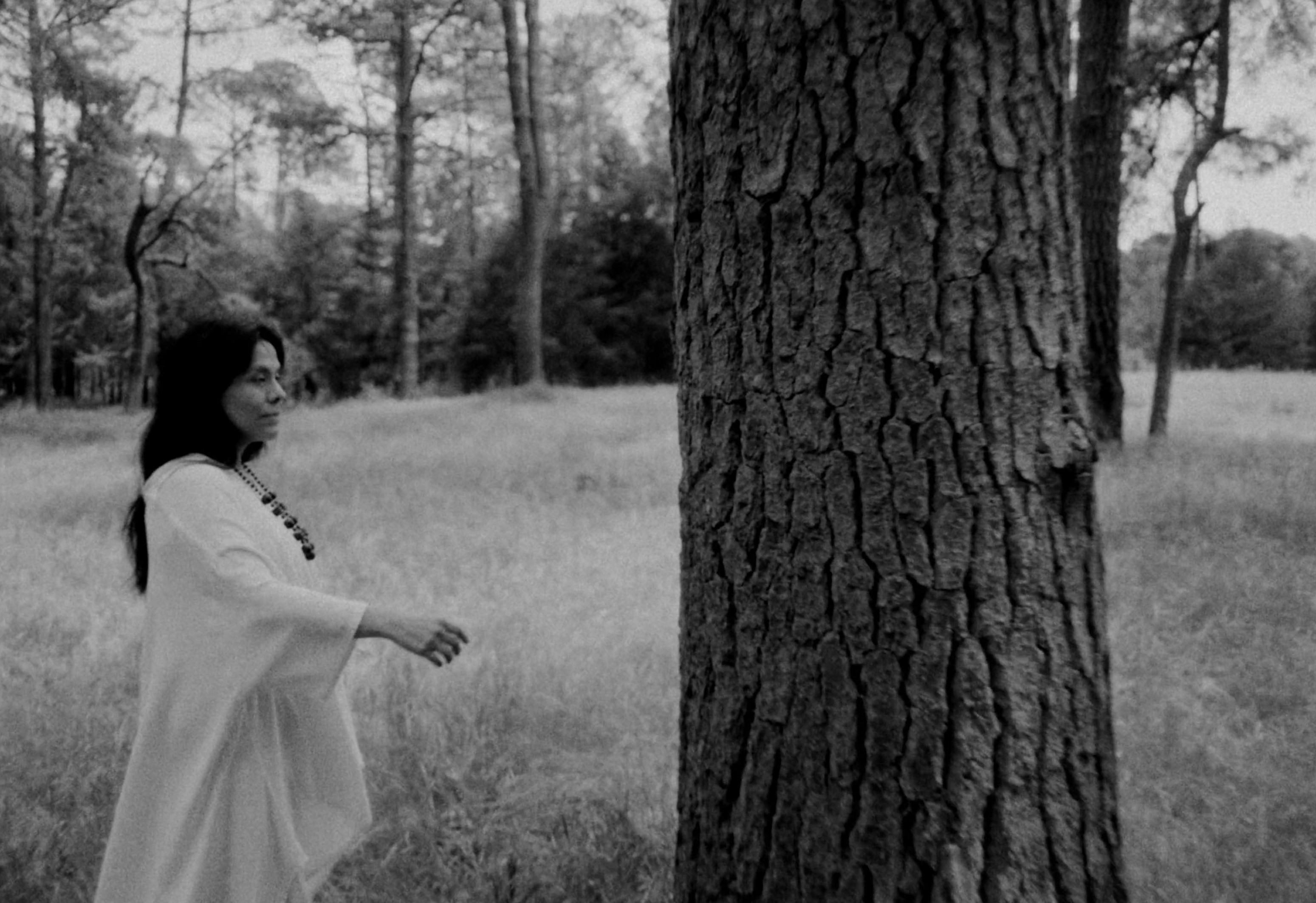 Casa Madero Wine - Since 1597 (2024) —  shot,  lighting