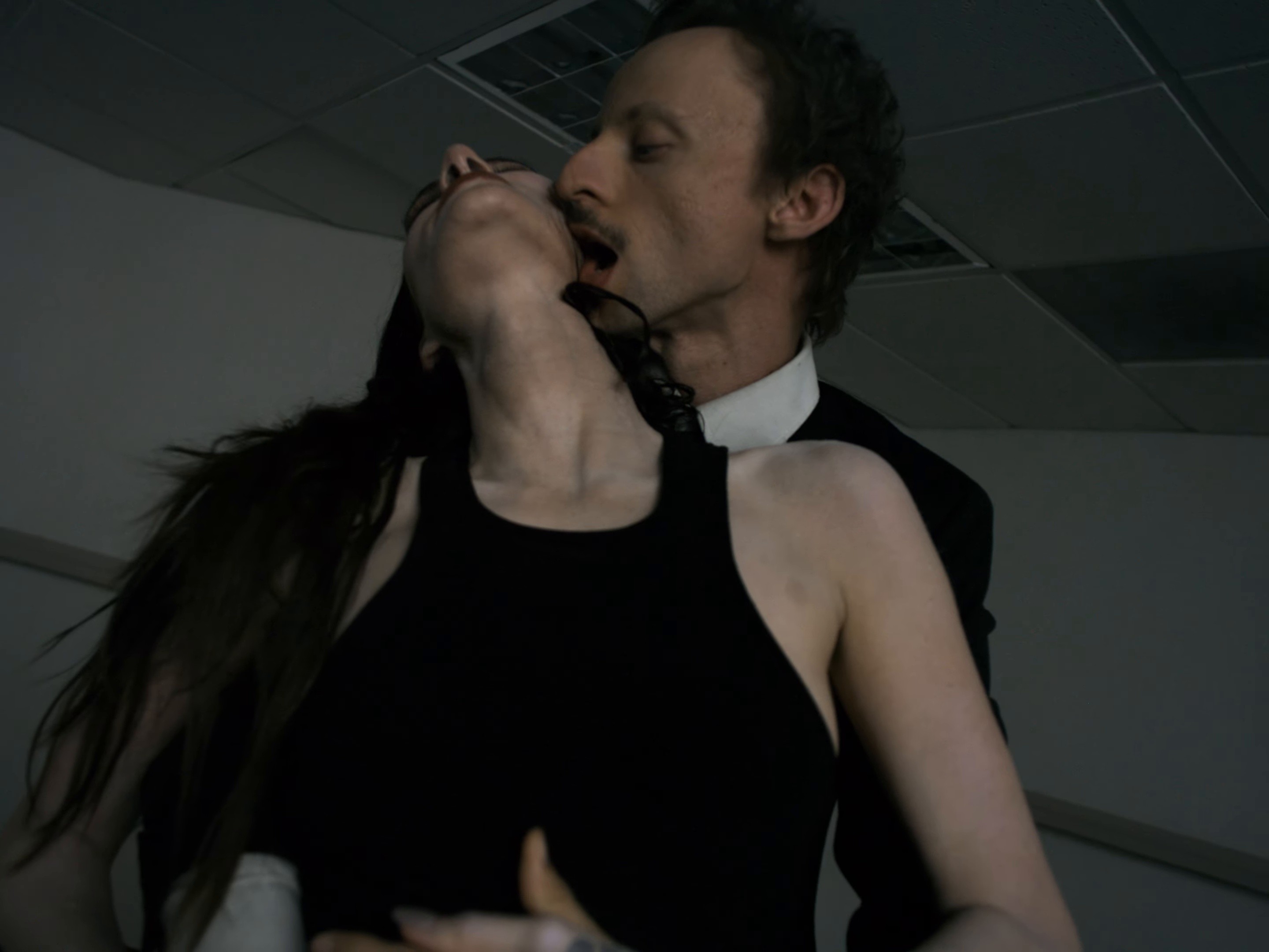 Piano and Great Danes (2025) —  shot,  lighting