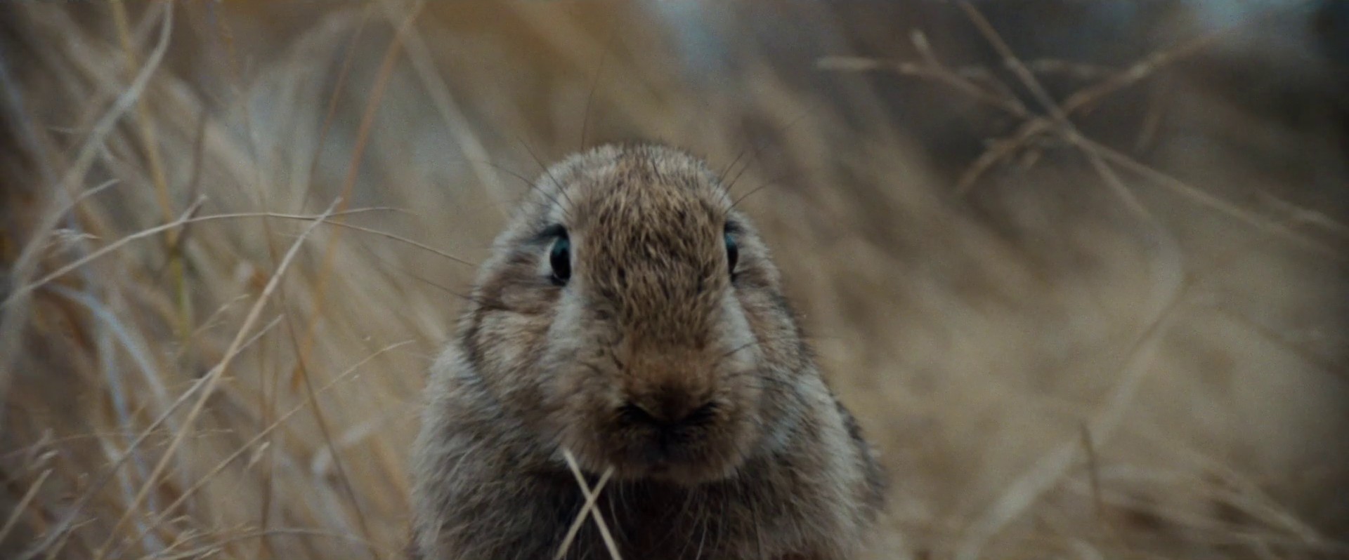 What a day (2021) —  shot,  lighting