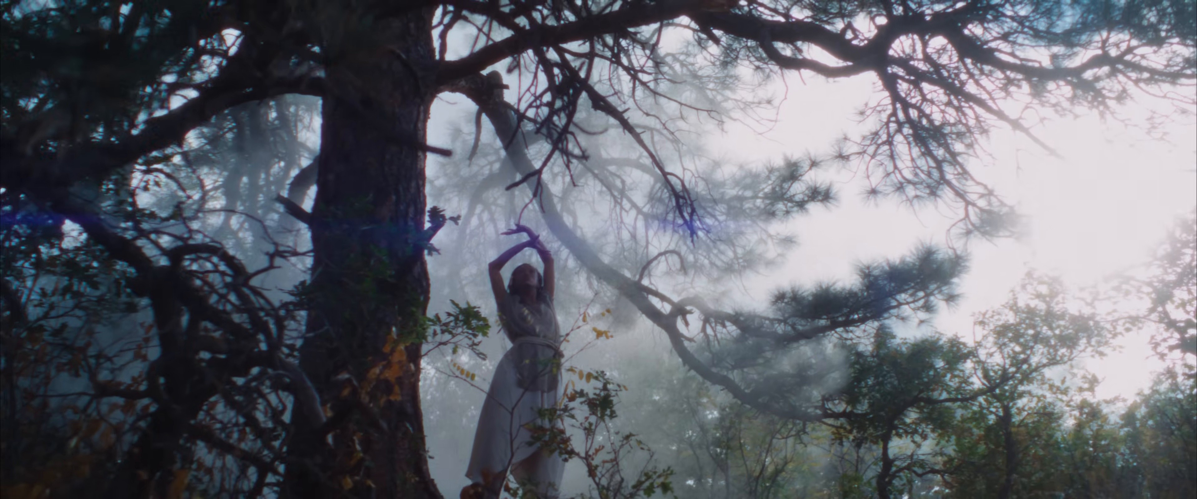 Dolori (Official Music Video) (2026) —  shot,  lighting