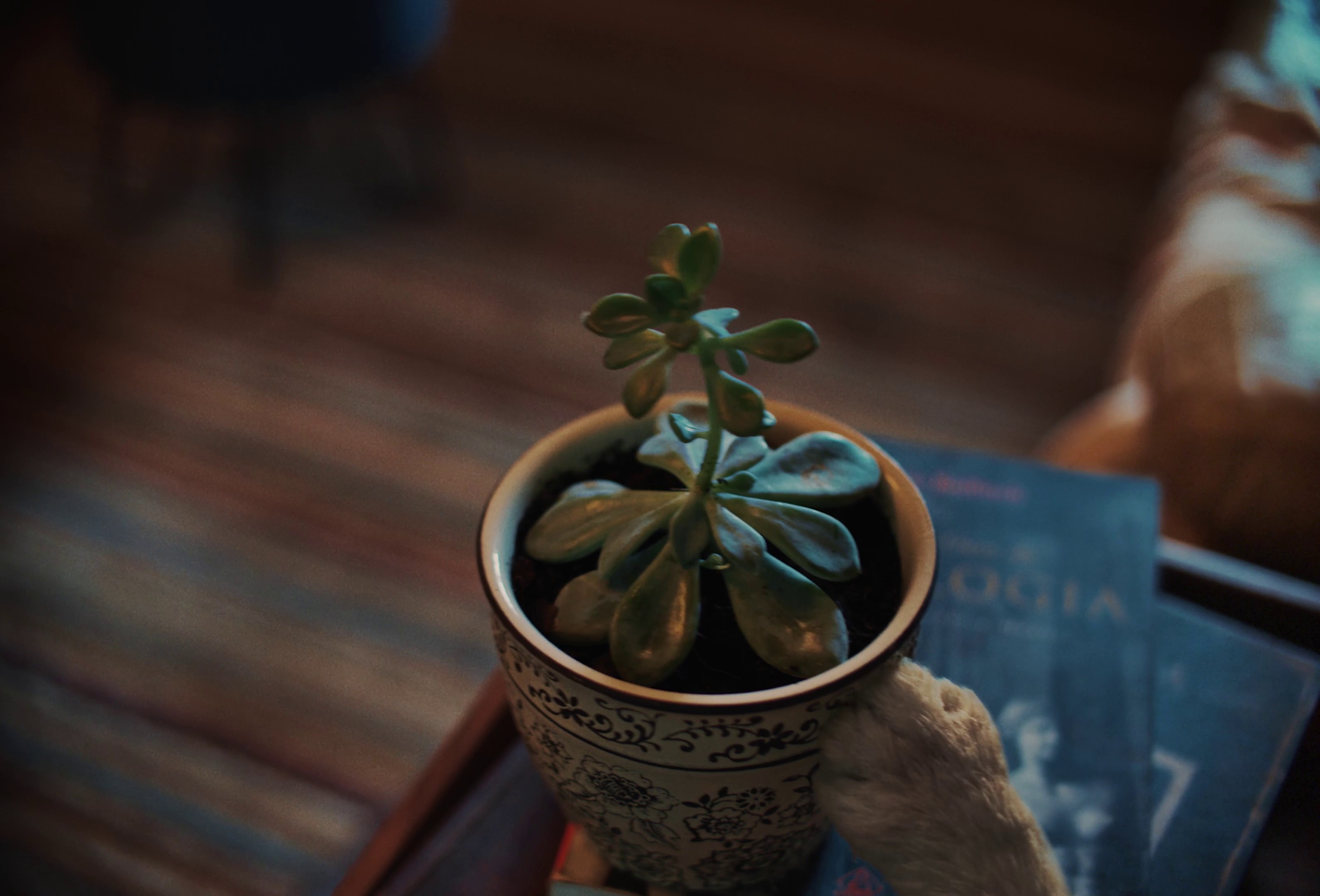 Uber - Lost Keys (2023) —  shot,  lighting