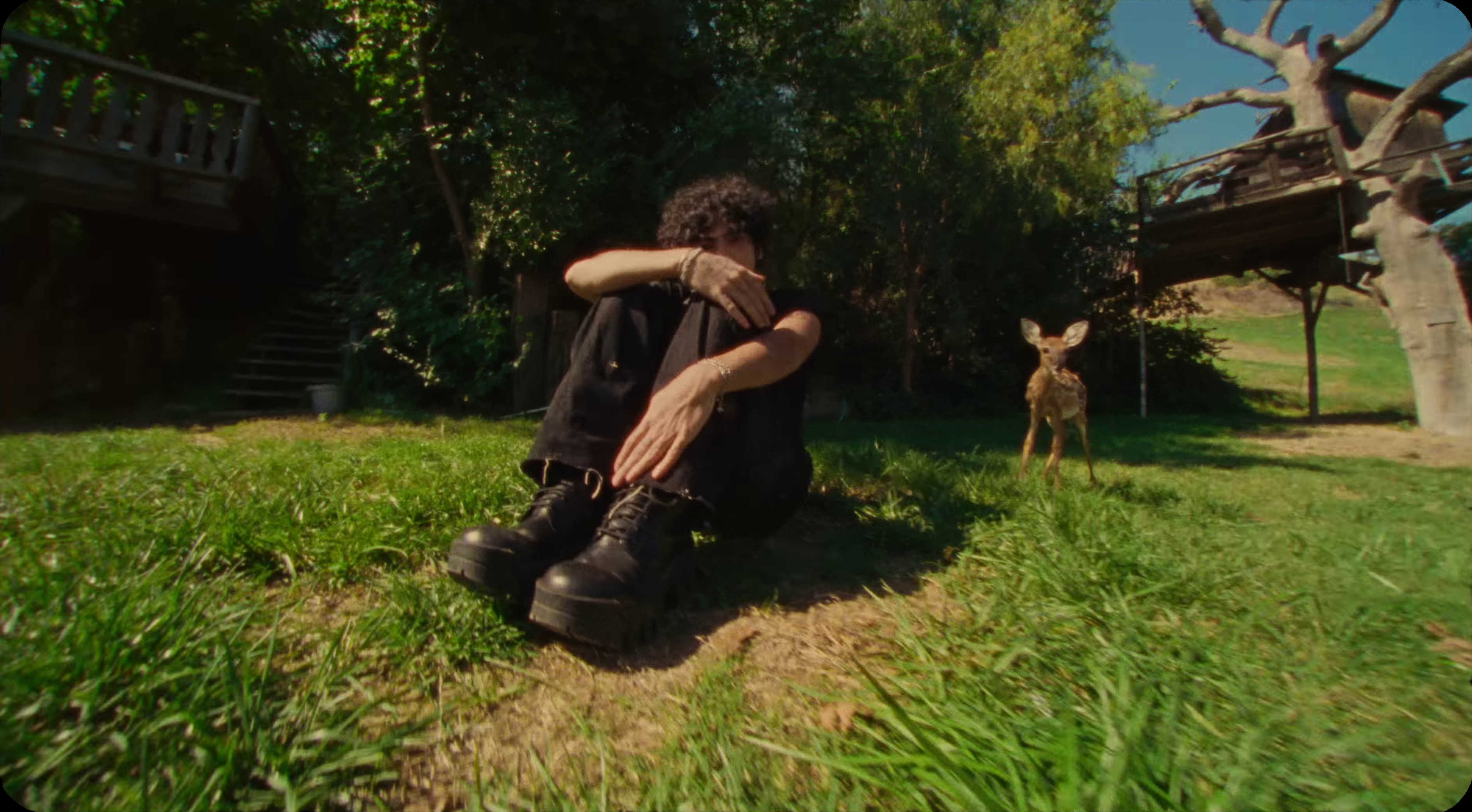 kickstand (2023) —  shot,  lighting