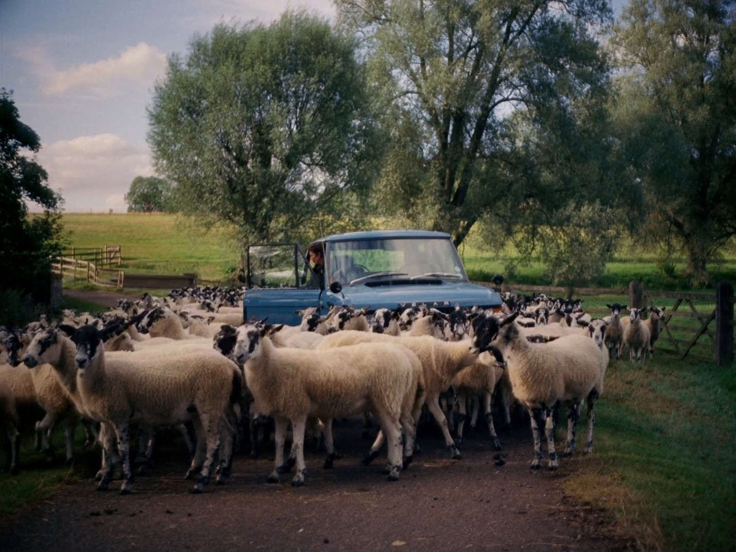 Burberry: "Counting Sheep" (dir. rubberband.) (2024) —  shot,  lighting