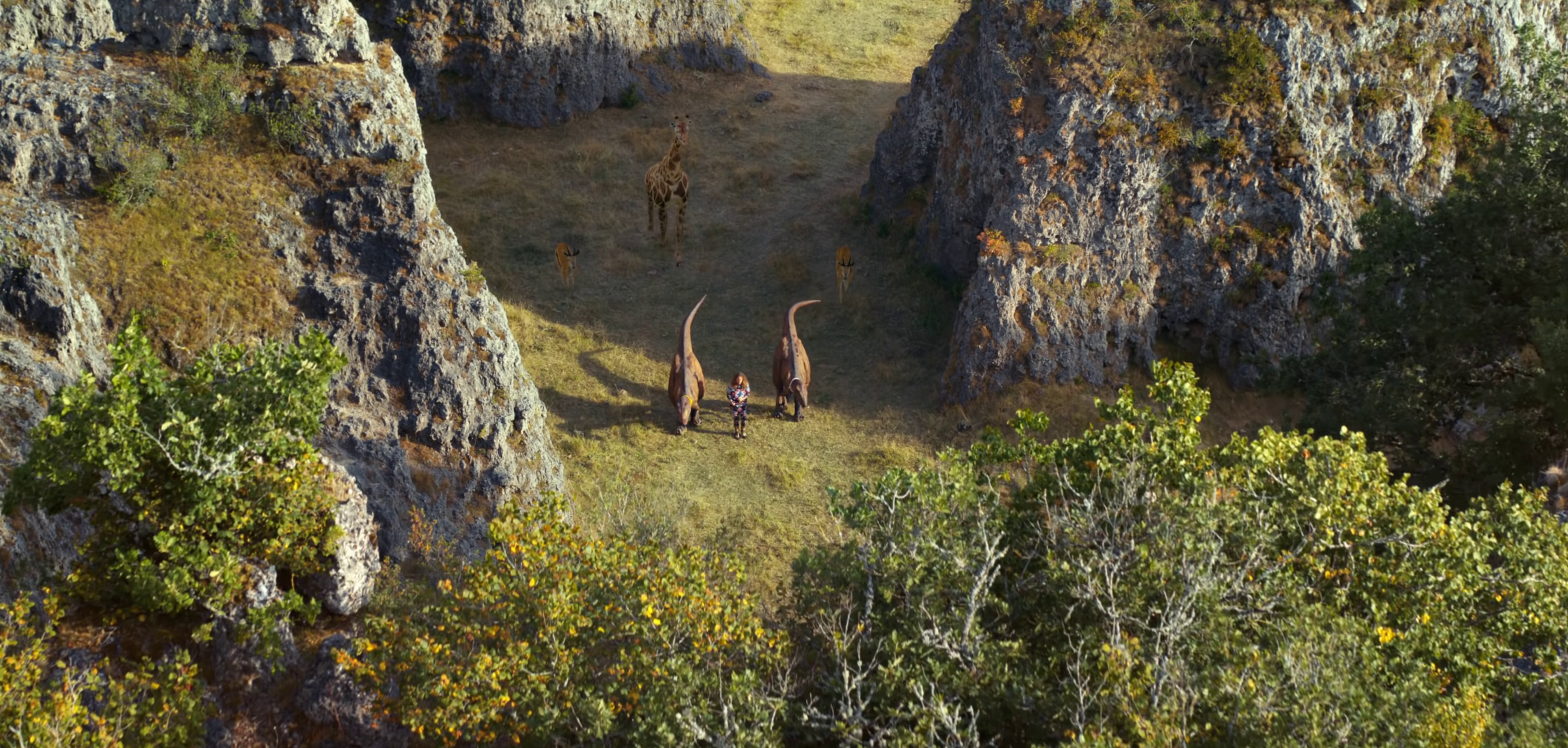 Nous (2020) —  shot,  lighting